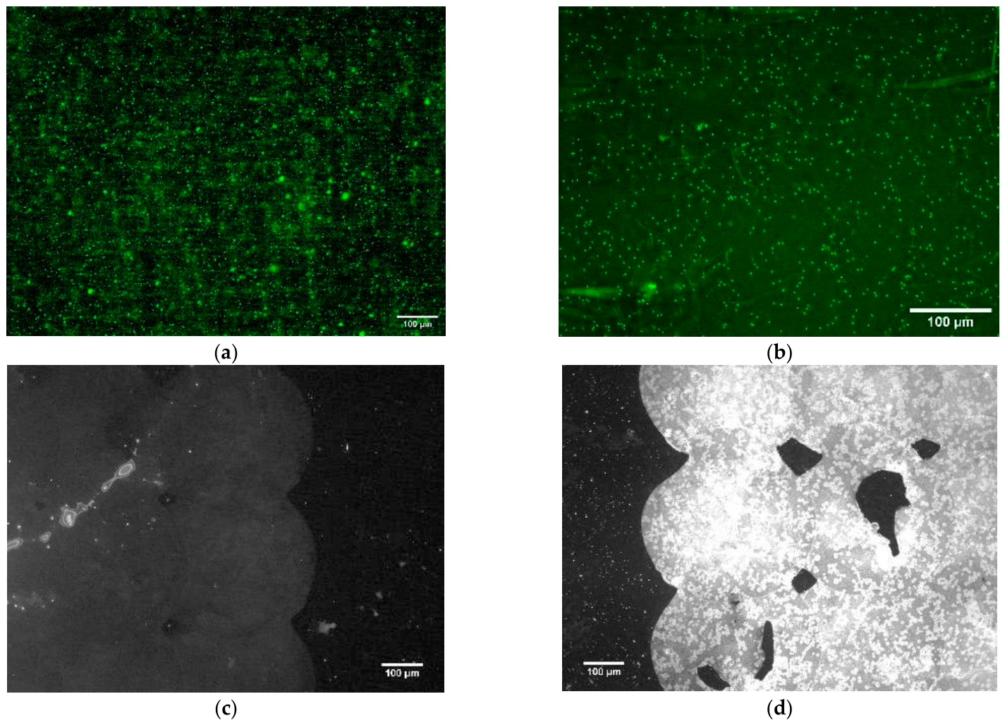Colloids 10 00074 g004