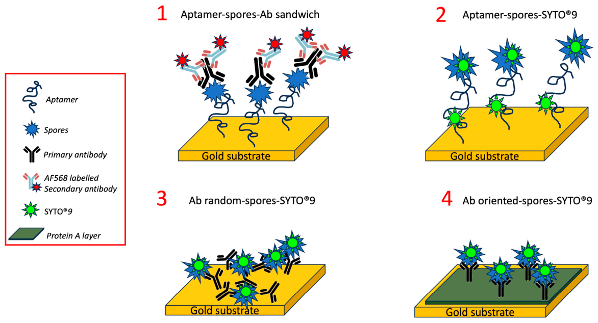 Colloids 10 00074 sch001