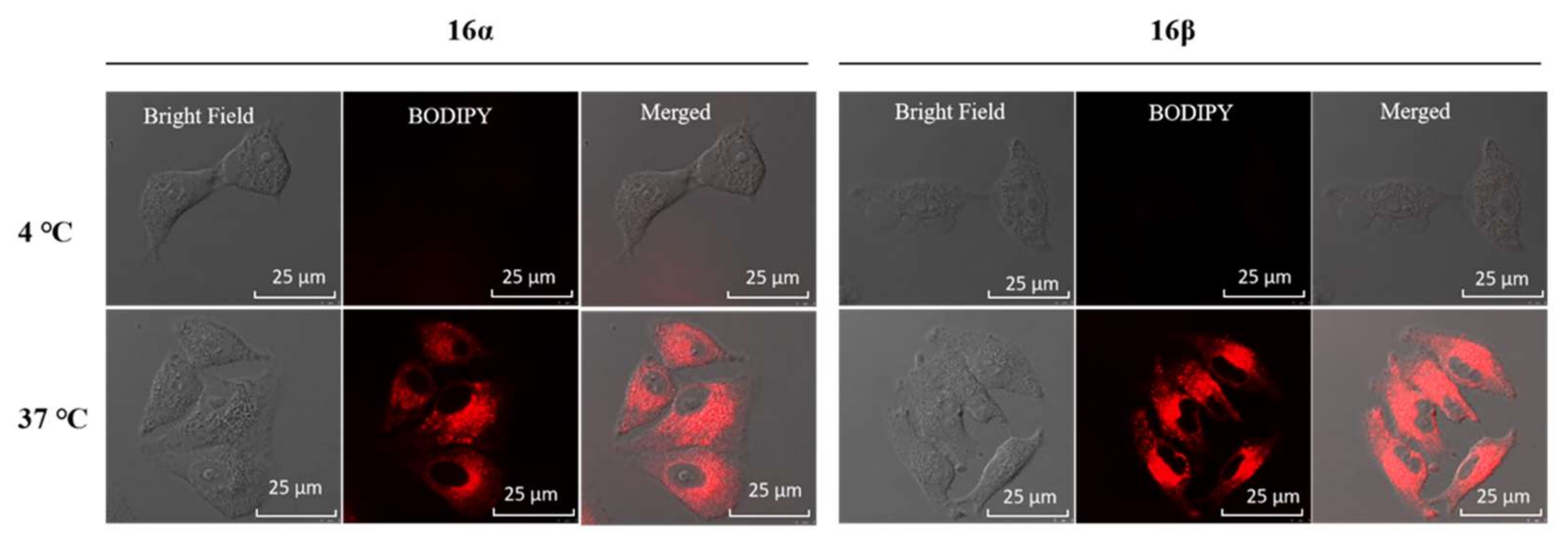 Colorants 01 00012 g002