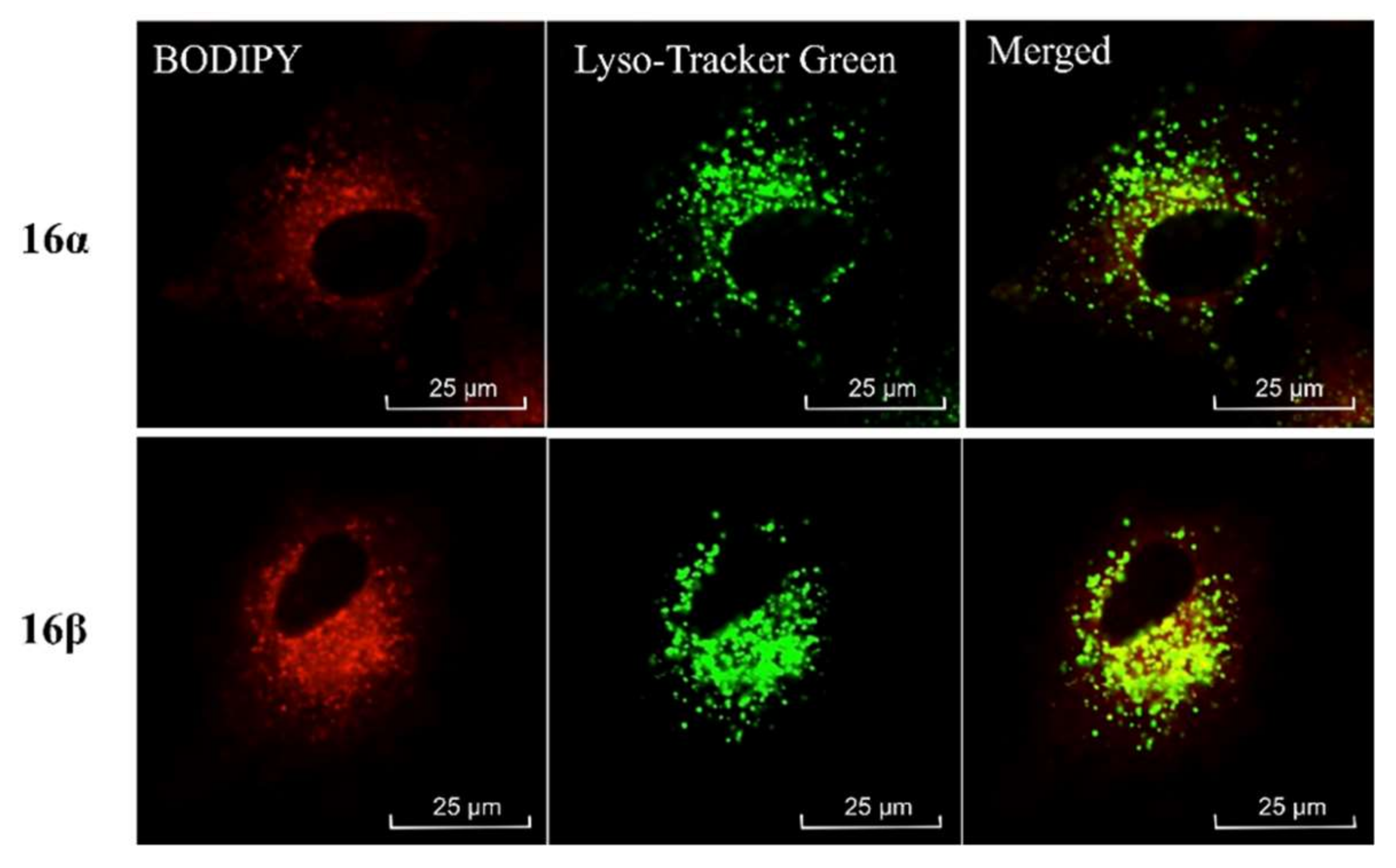 Colorants 01 00012 g004