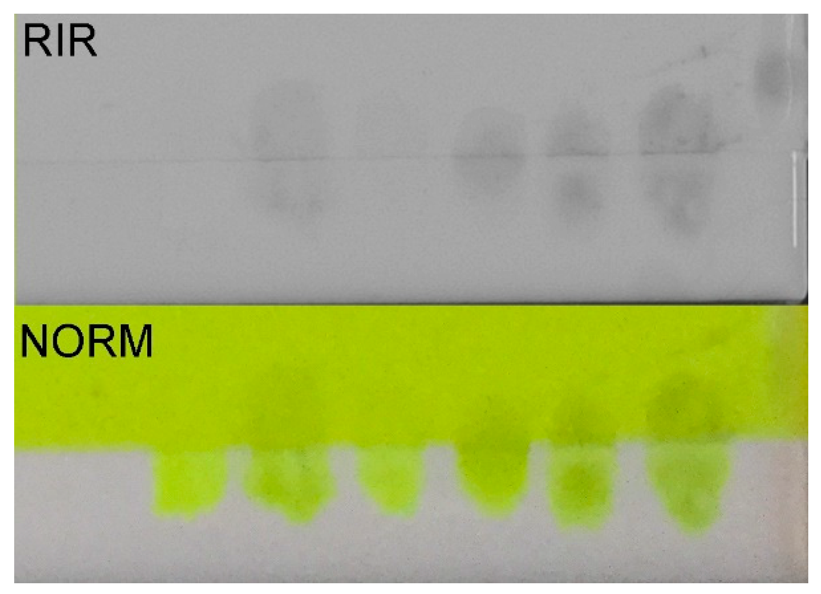 Colorants 01 00013 g009