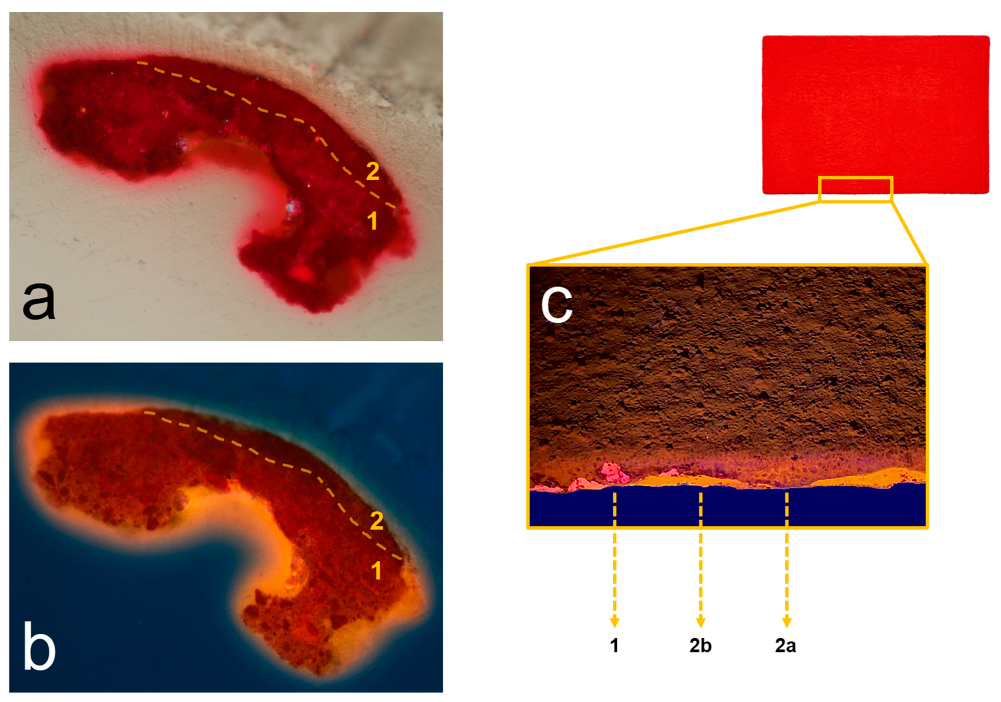 Colorants 02 00013 g005