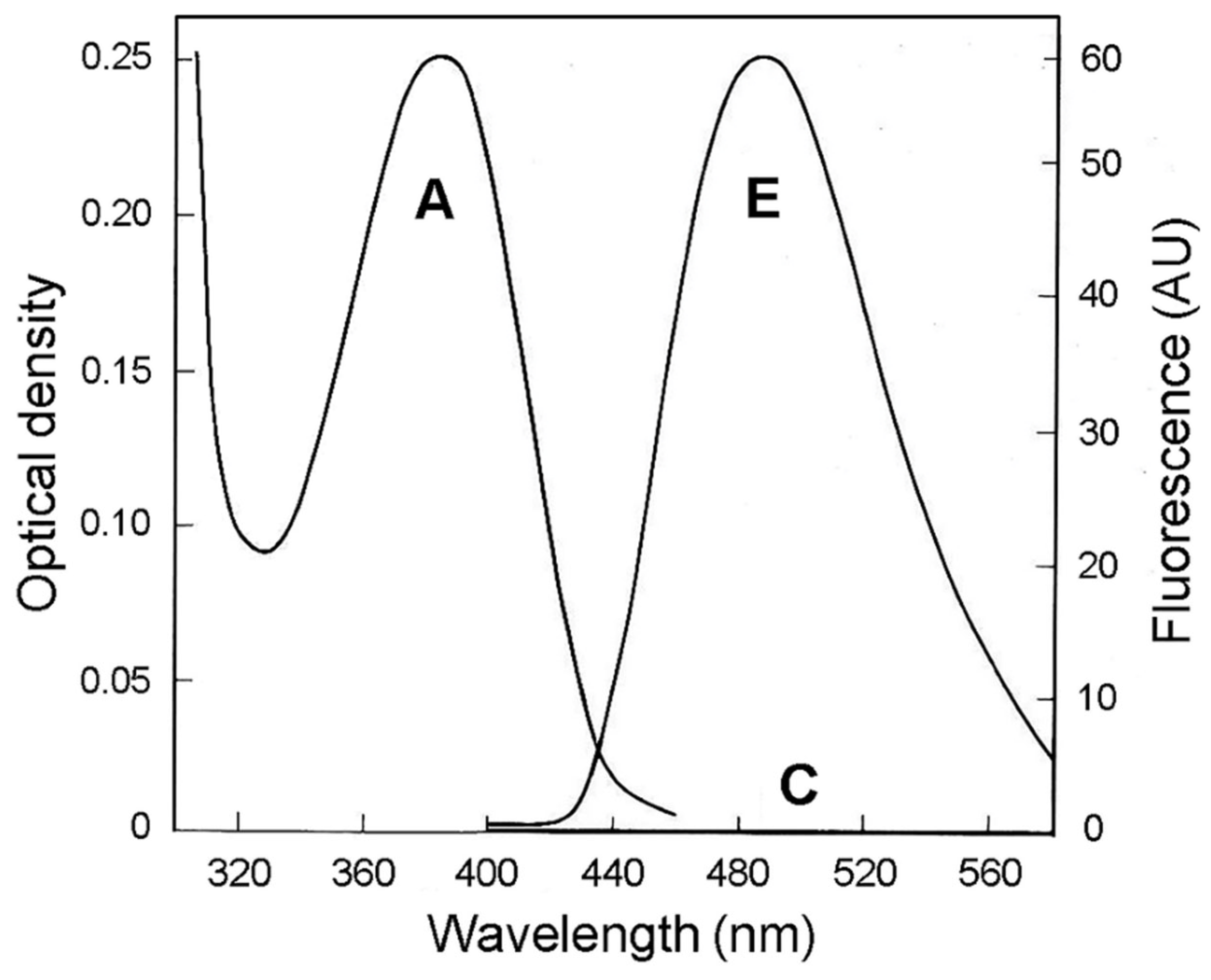 Colorants 02 00016 g004 Colorants 02 00016 g004