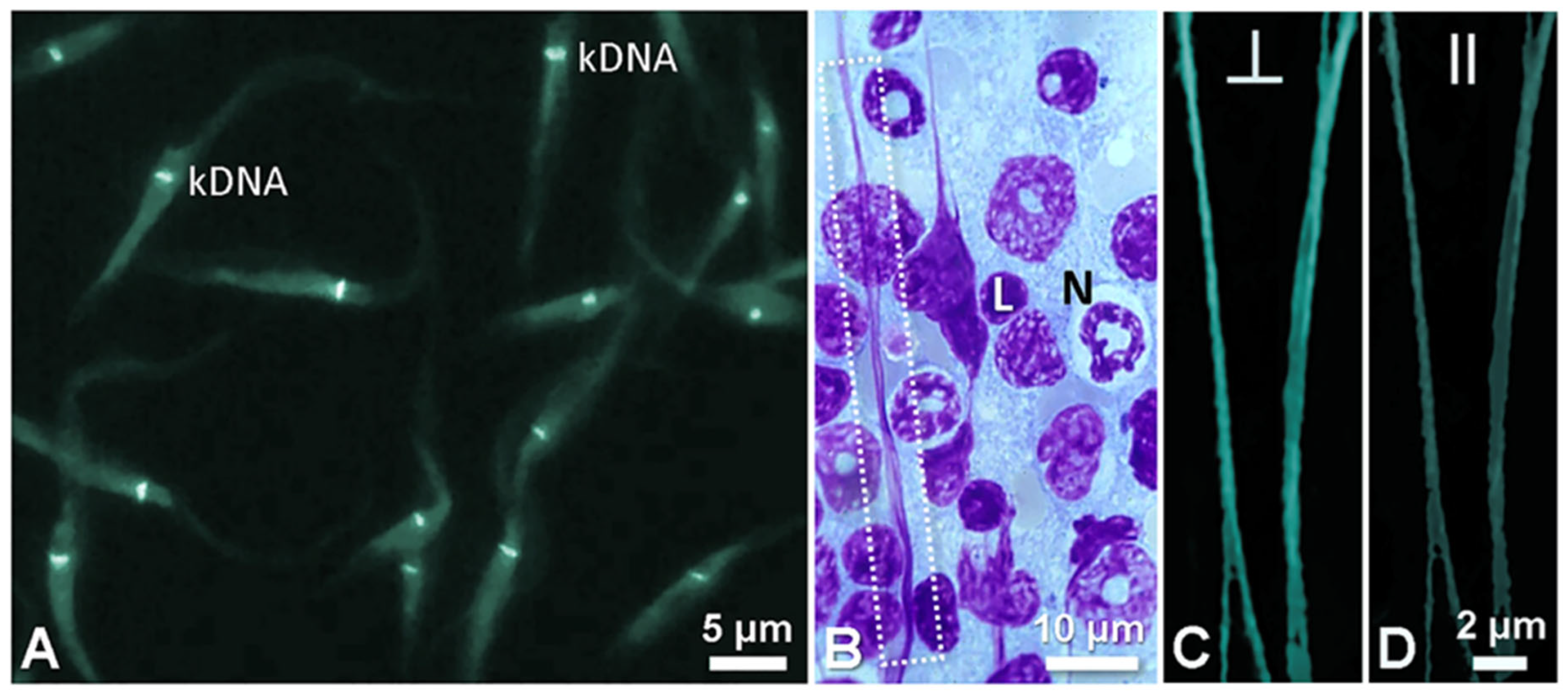 Colorants 02 00016 g006 Colorants 02 00016 g006