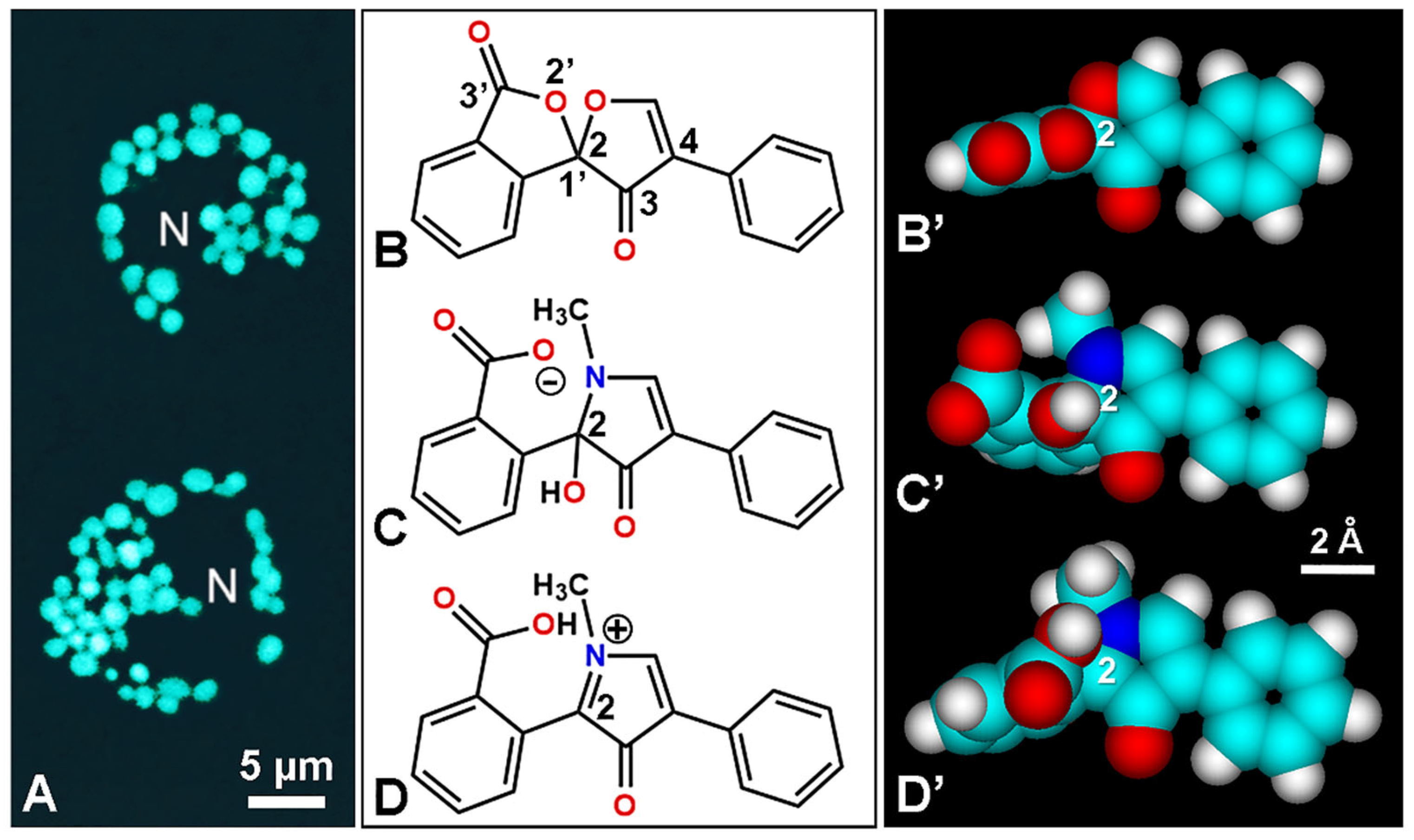Colorants 02 00016 g009 Colorants 02 00016 g009