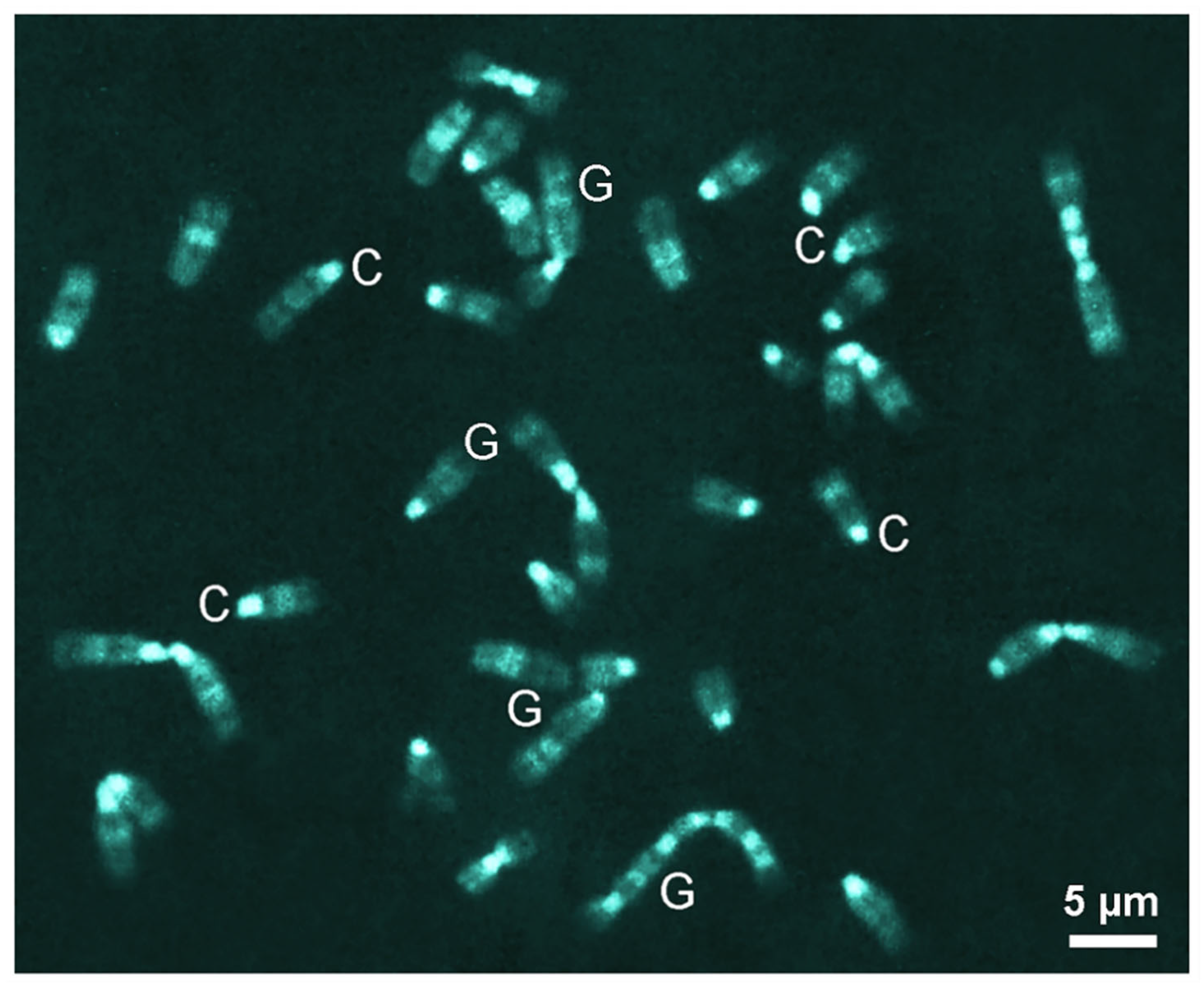 Colorants 02 00016 g011 Colorants 02 00016 g011