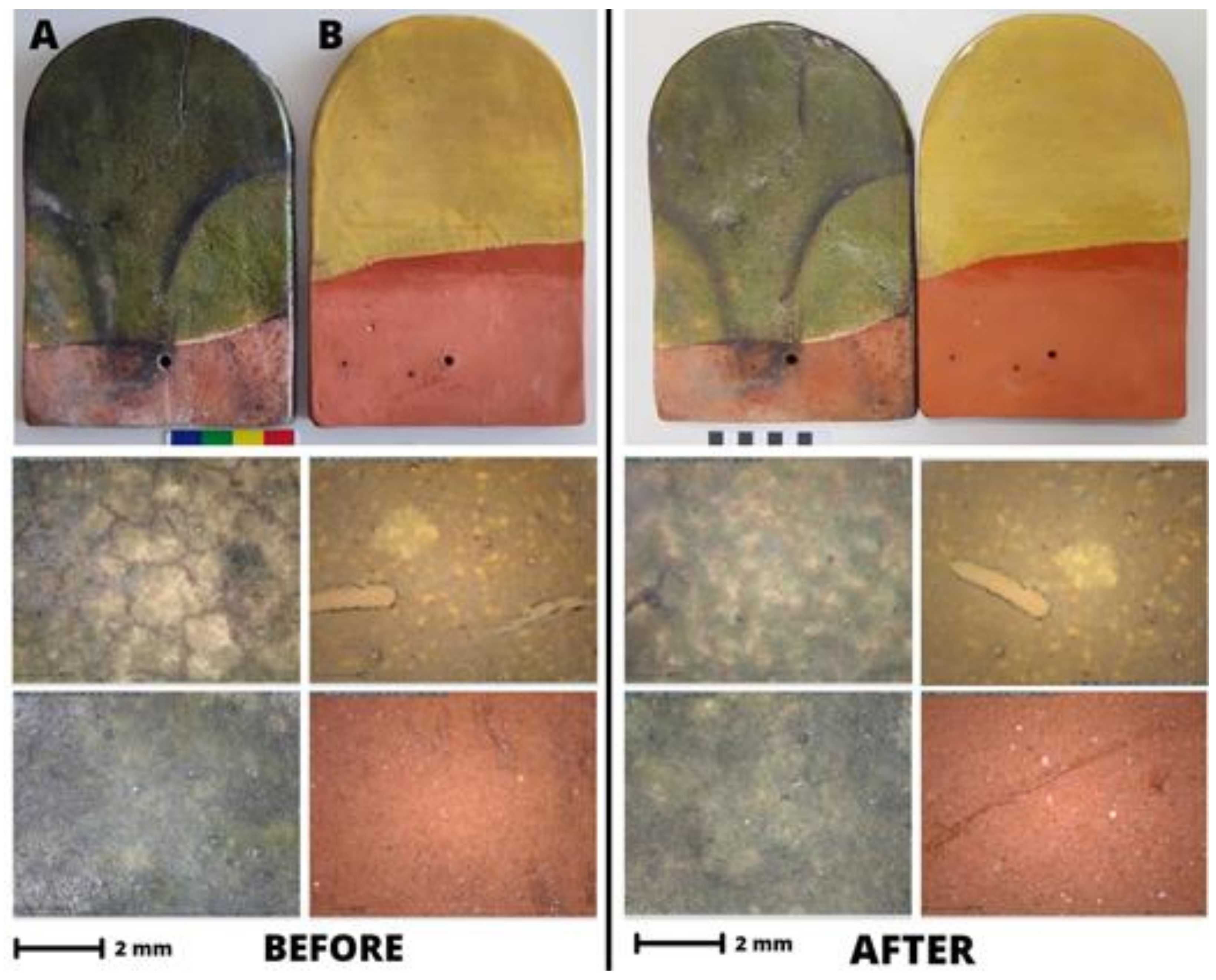 Colorants 02 00026 g011