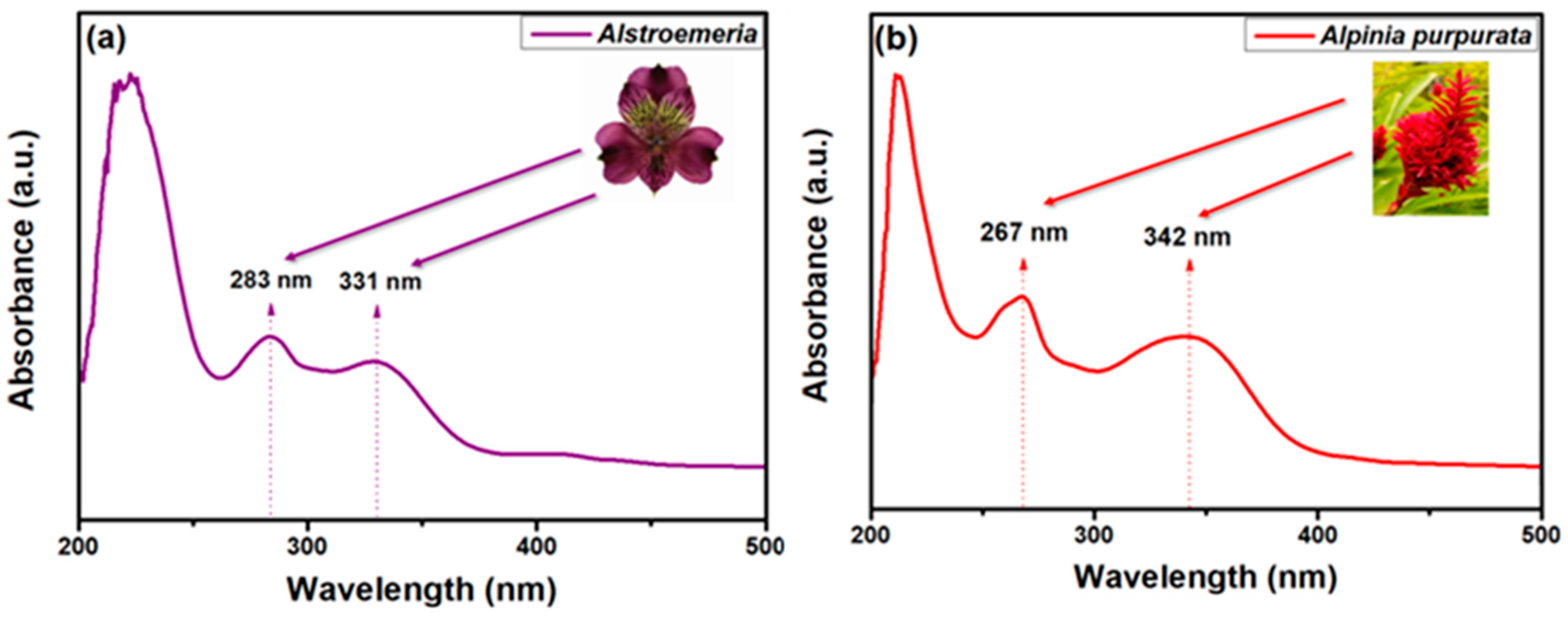 Colorants 02 00032 g002