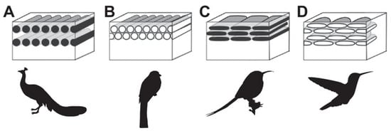 Colorants 02 00033 g003
