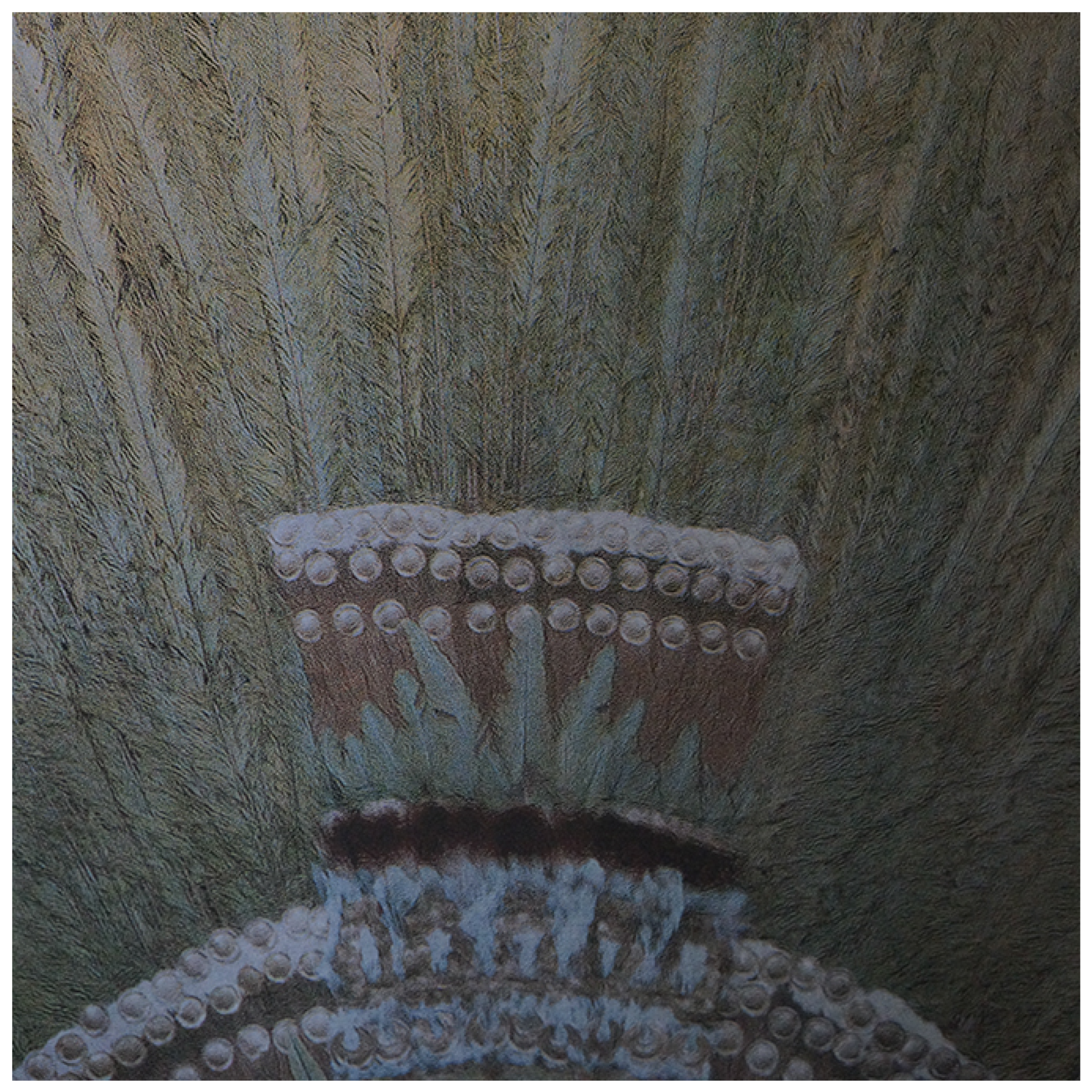 Colorants 02 00033 g012