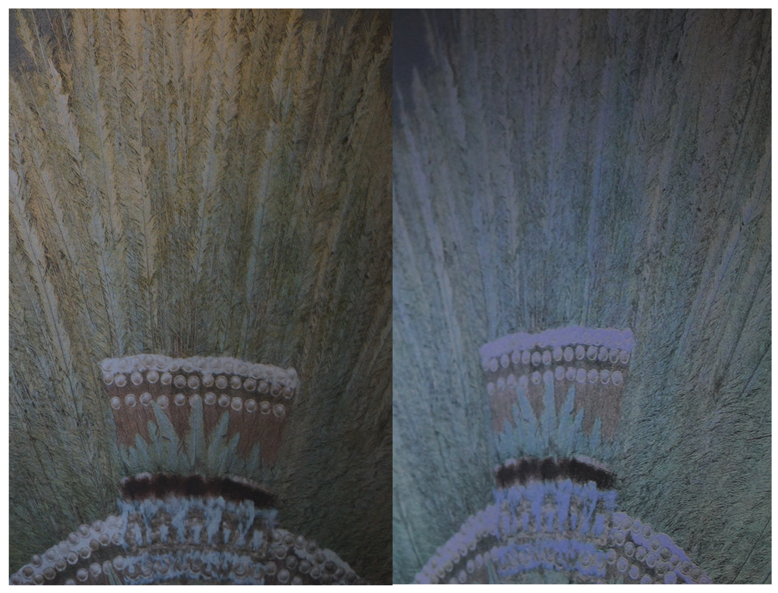 Colorants 02 00033 g018