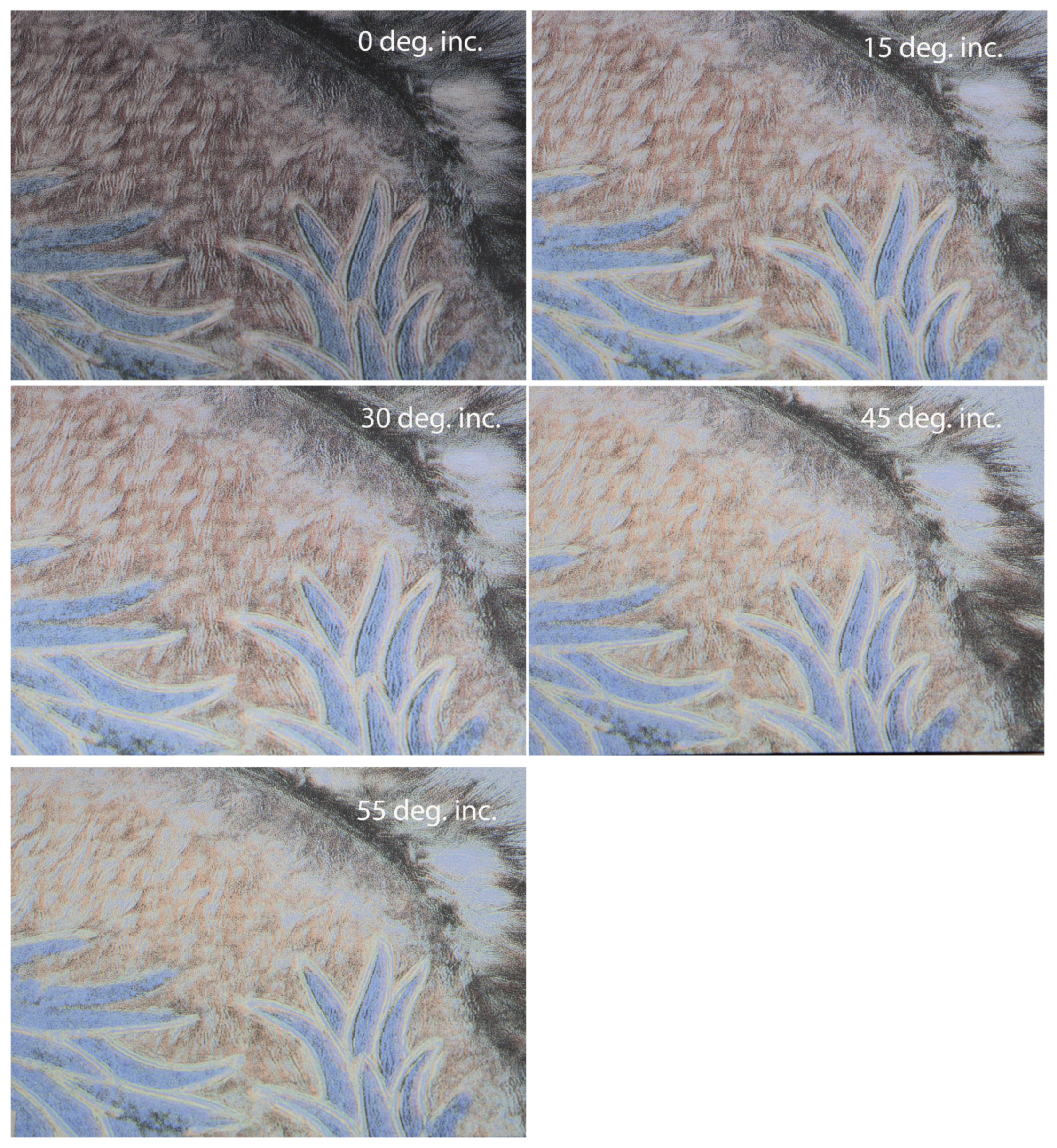 Colorants 02 00033 g0a2