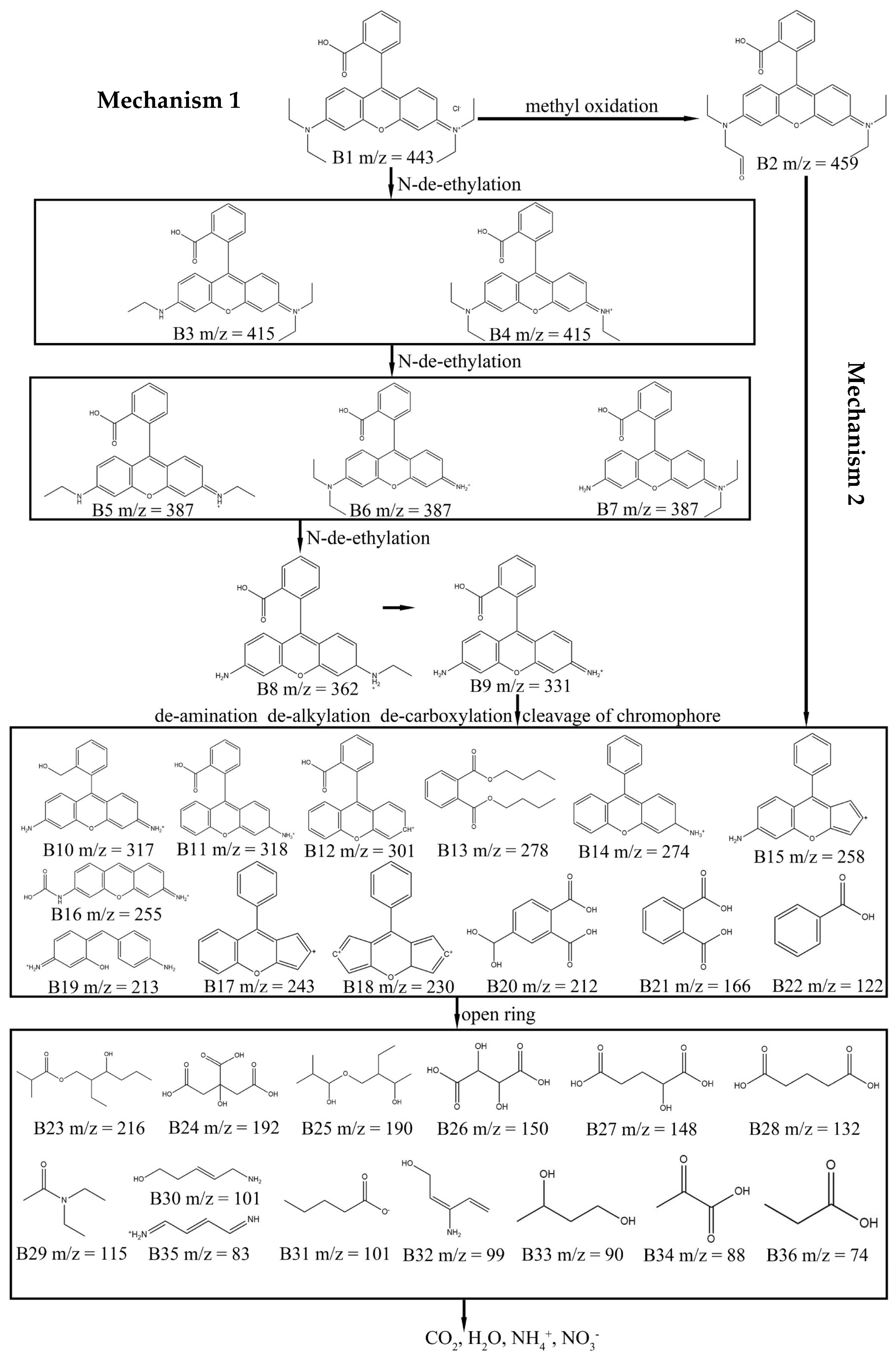 Colorants 02 00035 g007