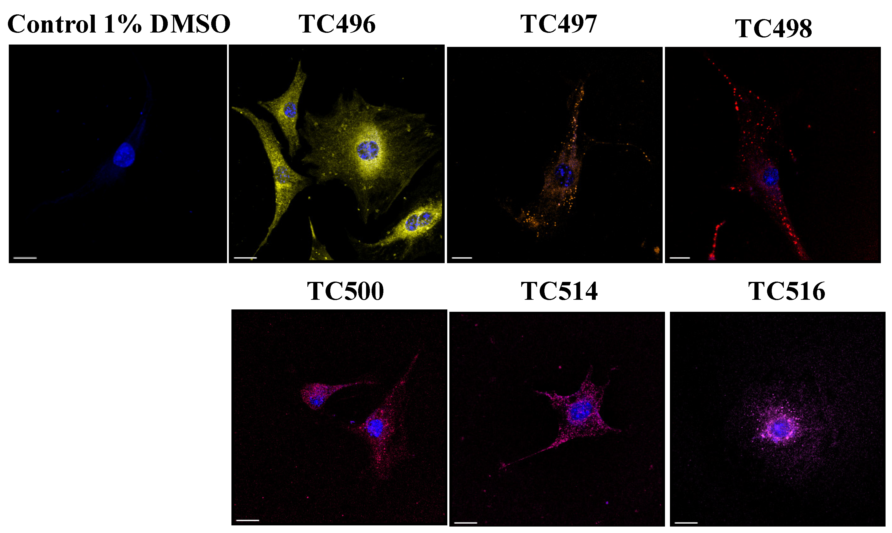 Colorants 03 00002 g009