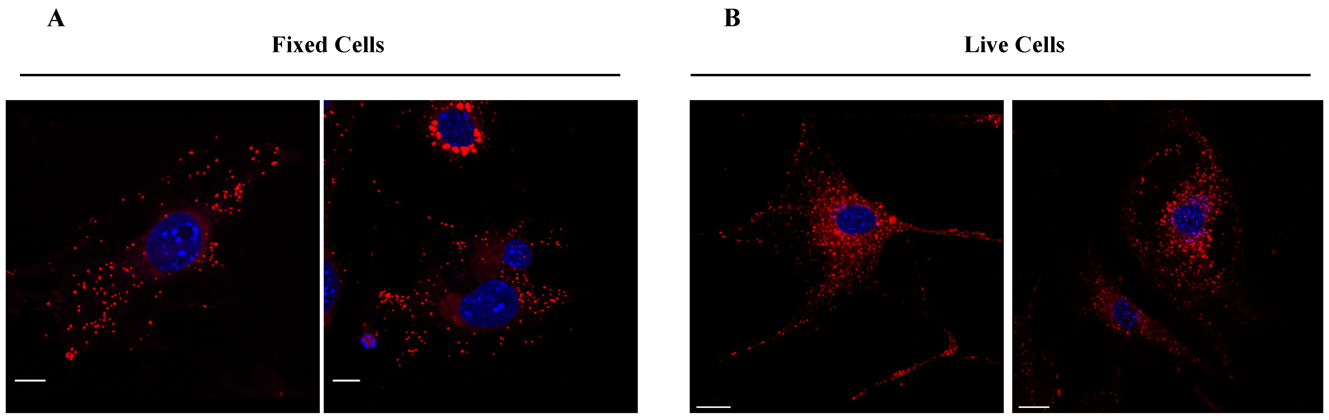 Colorants 03 00002 g011