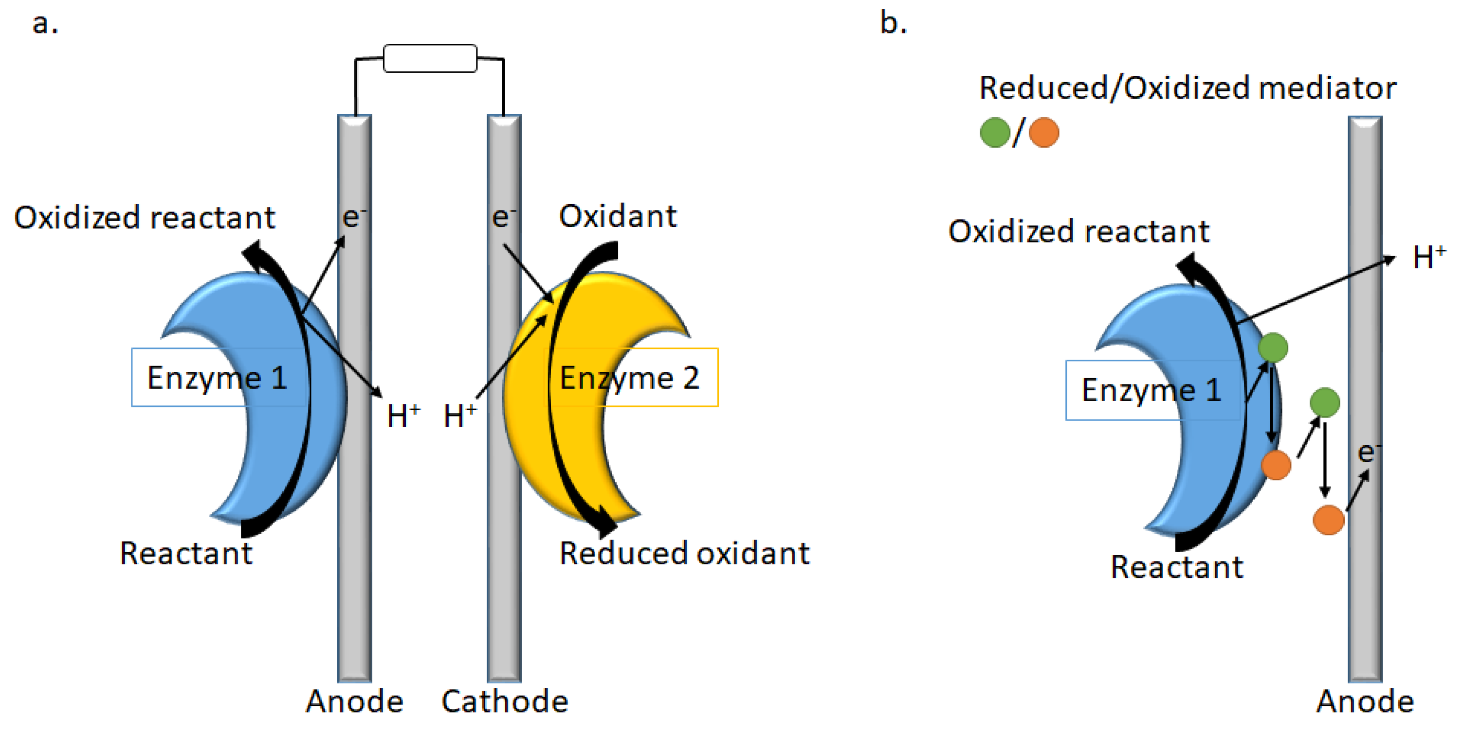 Colorants 03 00004 g006