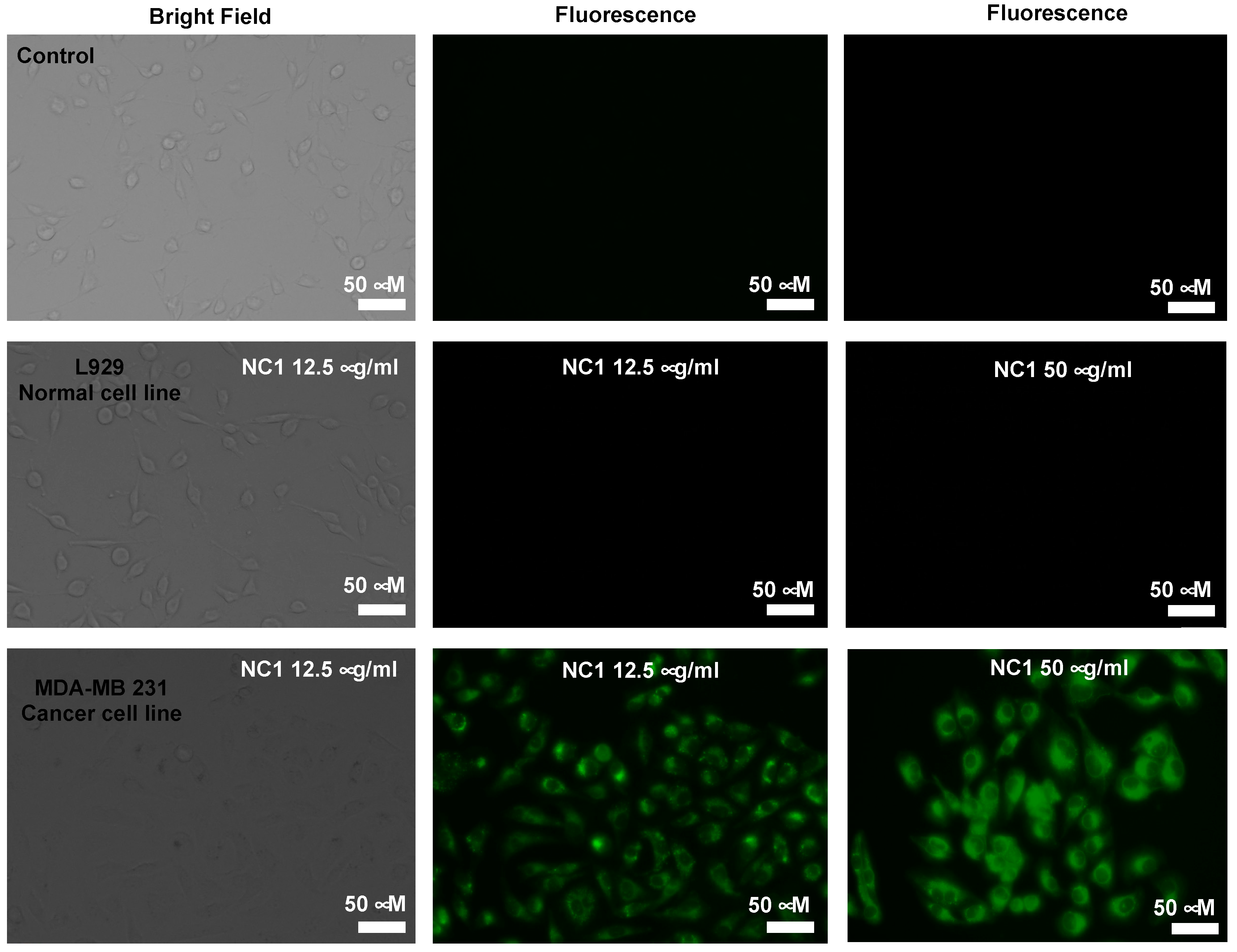 Colorants 03 00015 g007