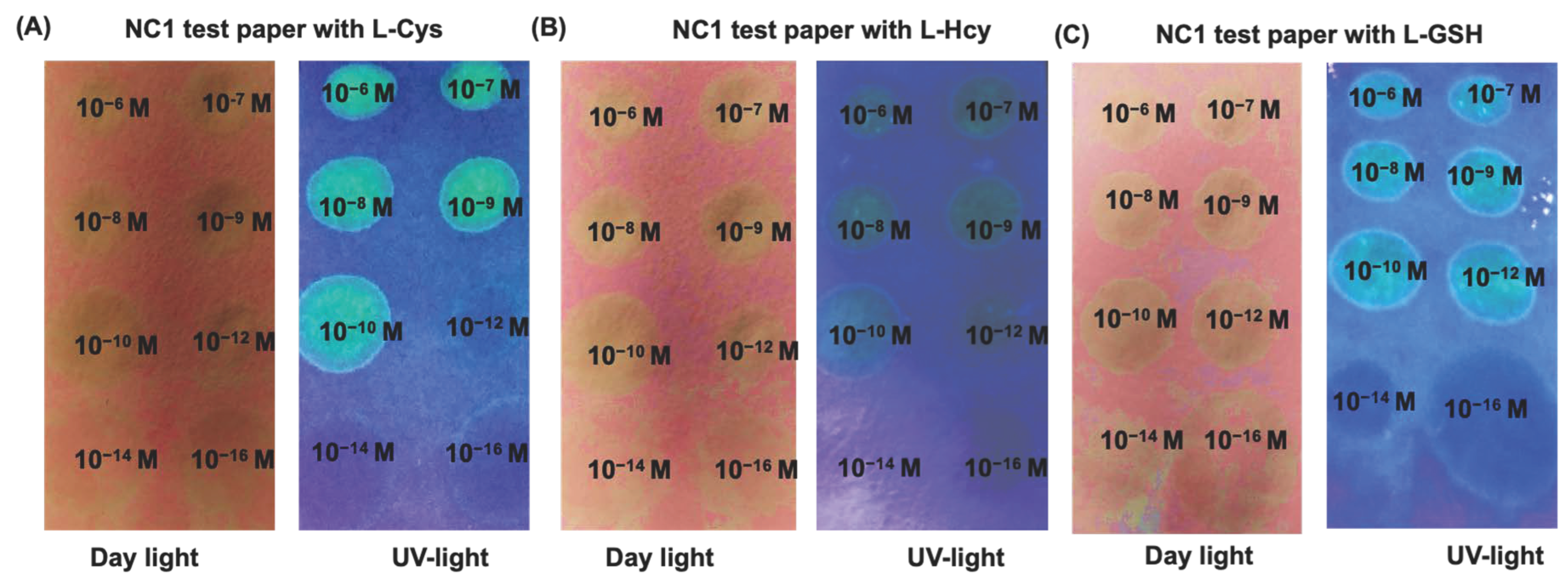 Colorants 03 00015 g008