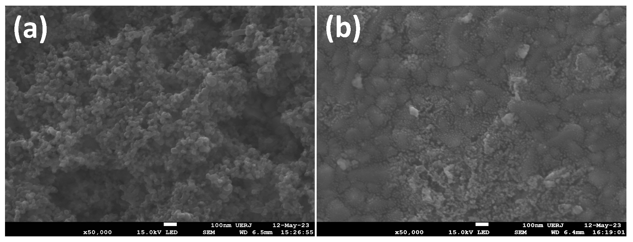 Colorants 03 00022 g007