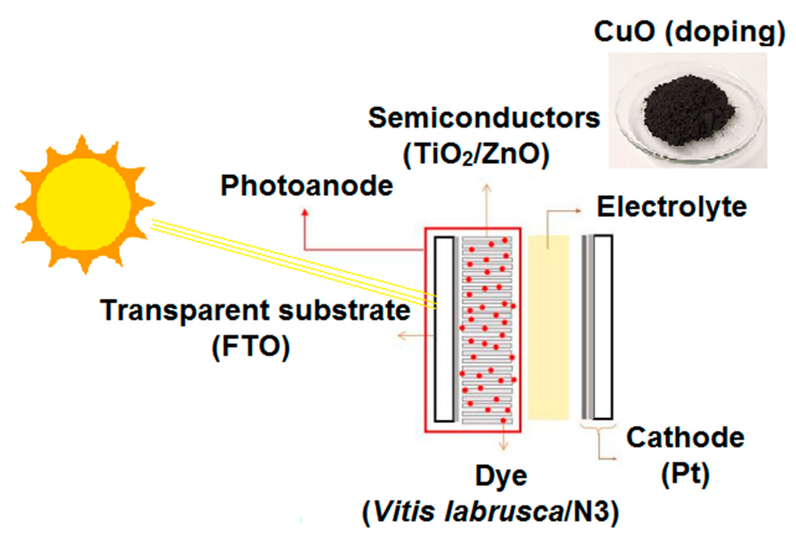 Colorants 03 00023 g001