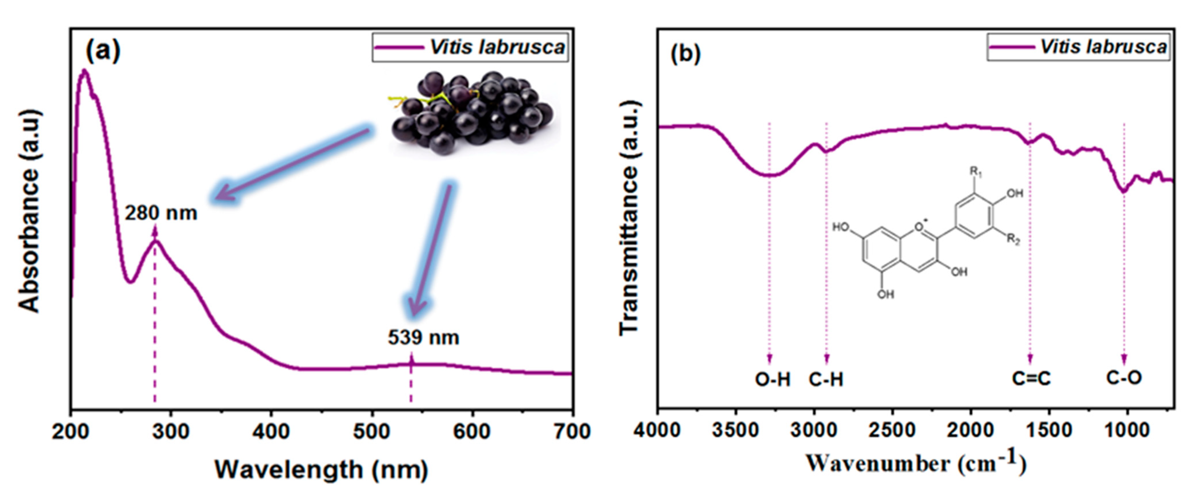 Colorants 03 00023 g008