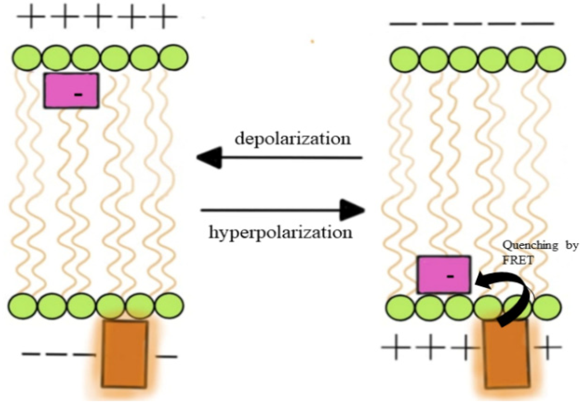 Colorants 03 00025 g002
