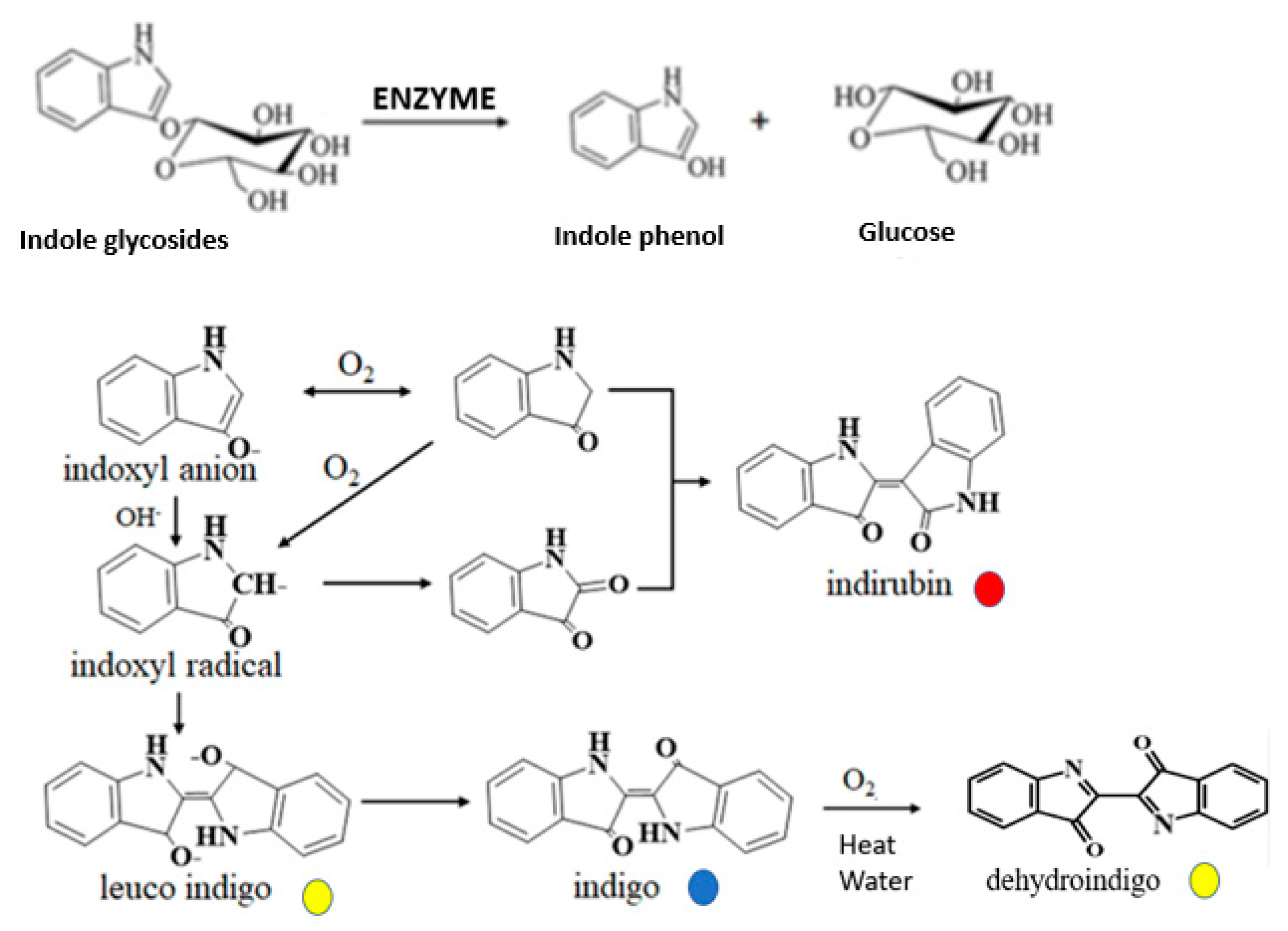 Colorants 04 00002 g008
