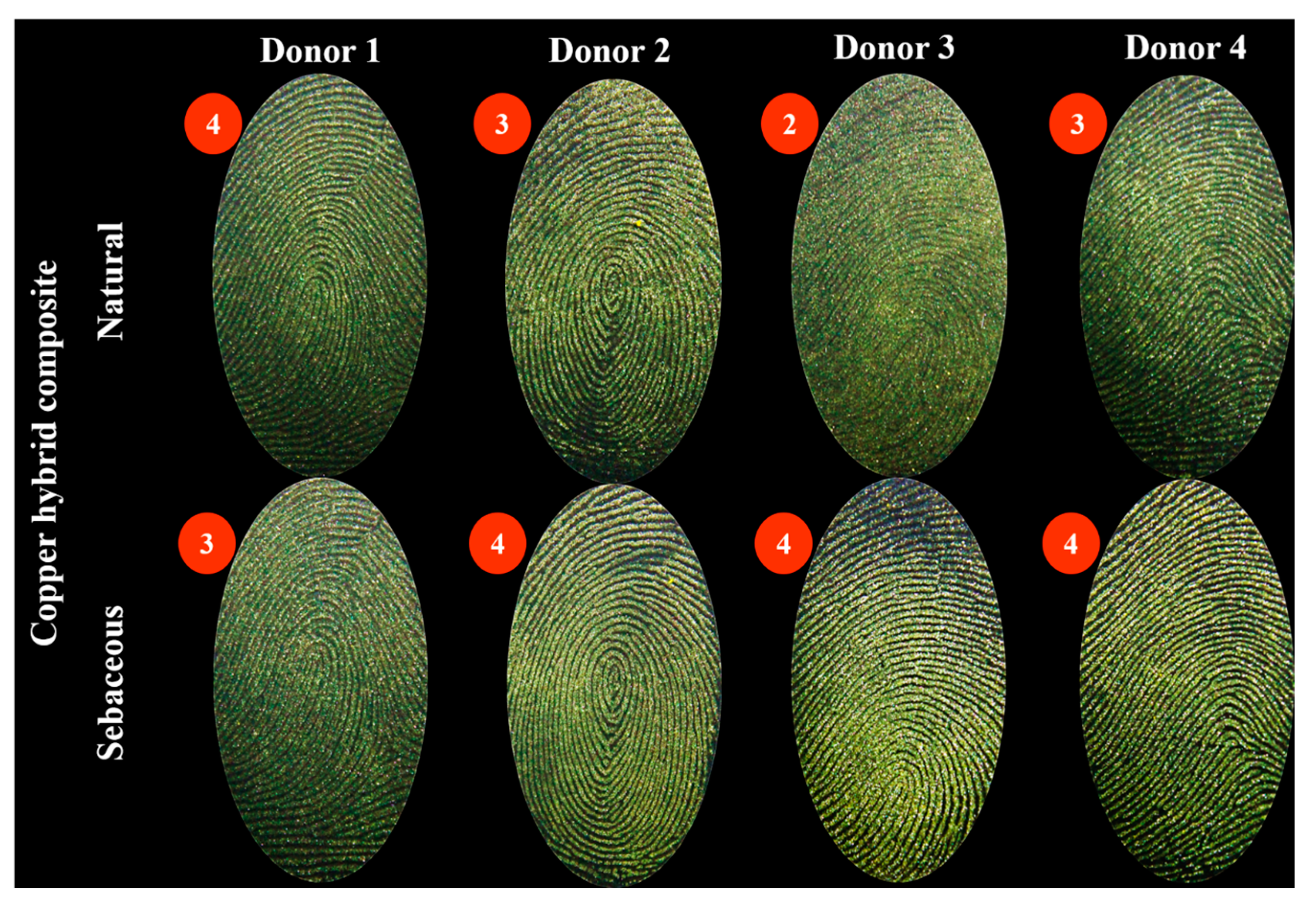 Colorants 04 00003 g005