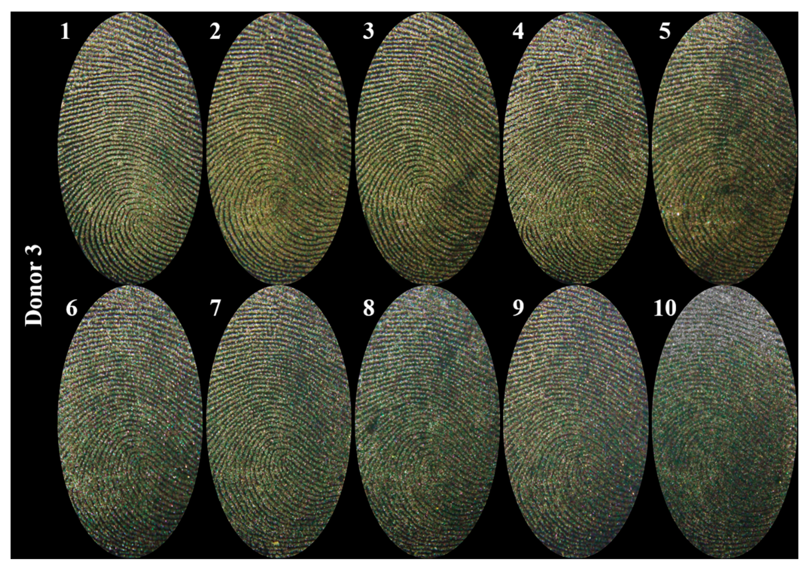 Colorants 04 00003 g008