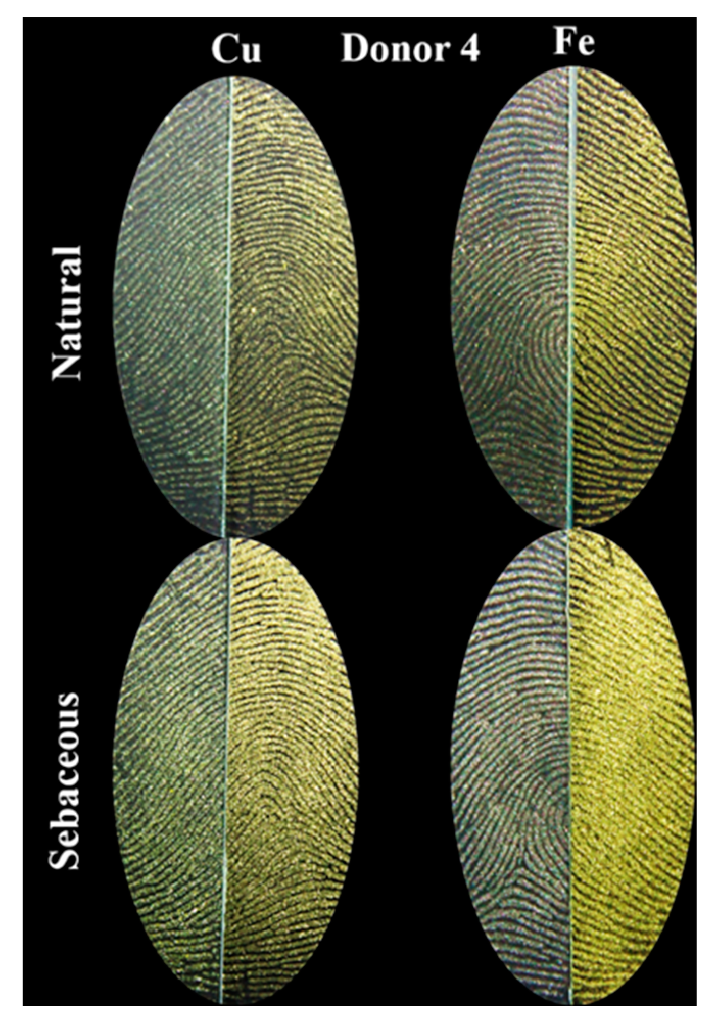 Colorants 04 00003 g009