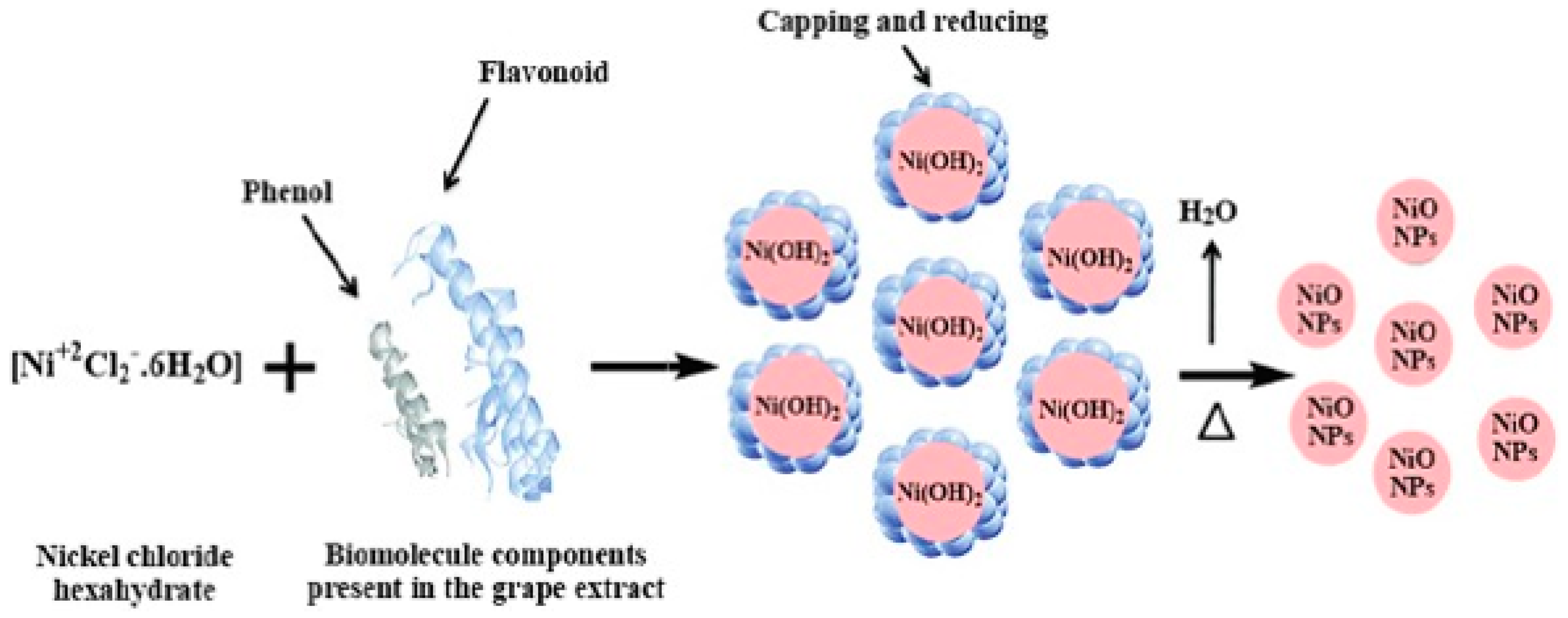 Colorants 04 00007 g005