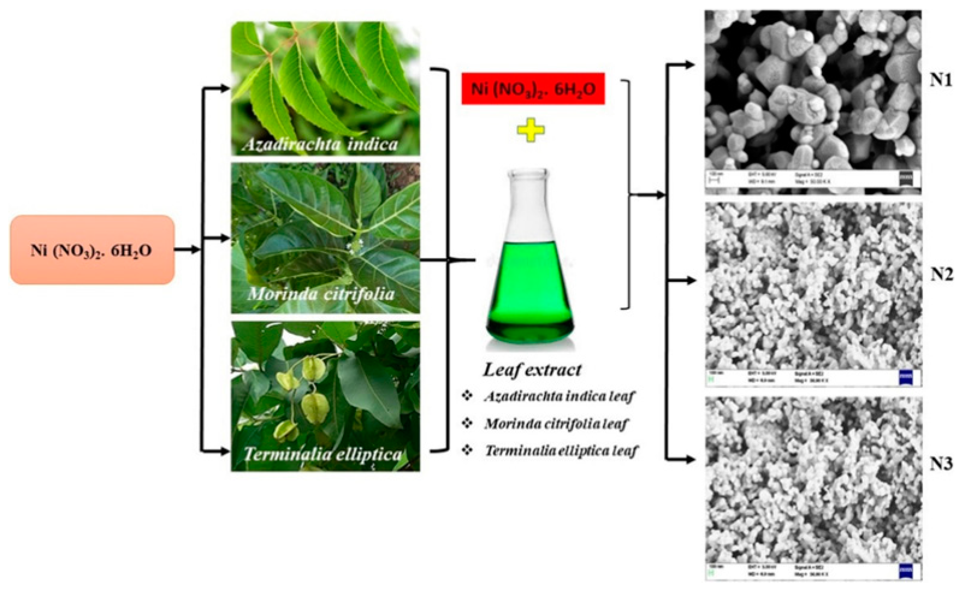 Colorants 04 00007 g007