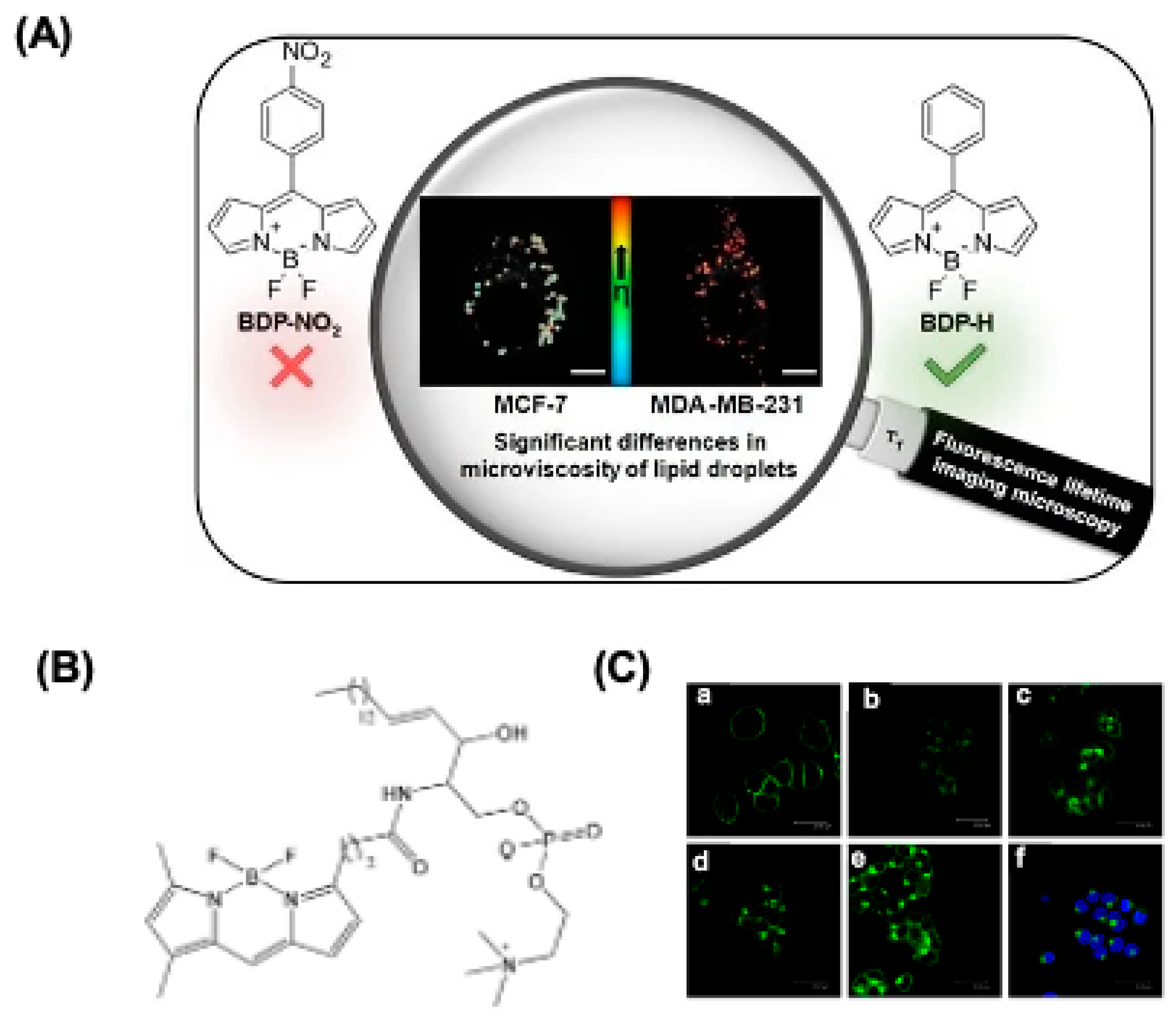 Colorants 04 00013 g003