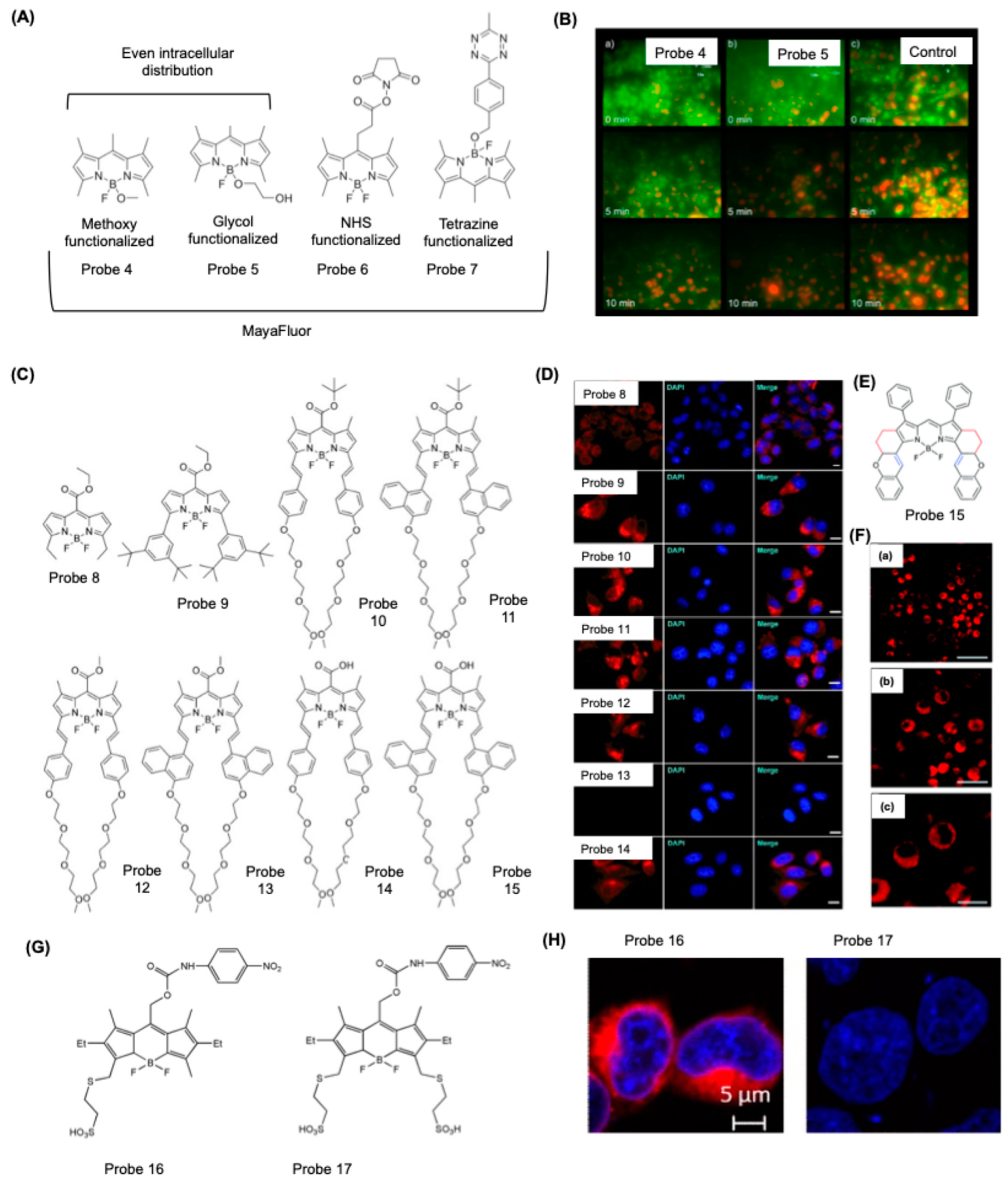 Colorants 04 00013 g006