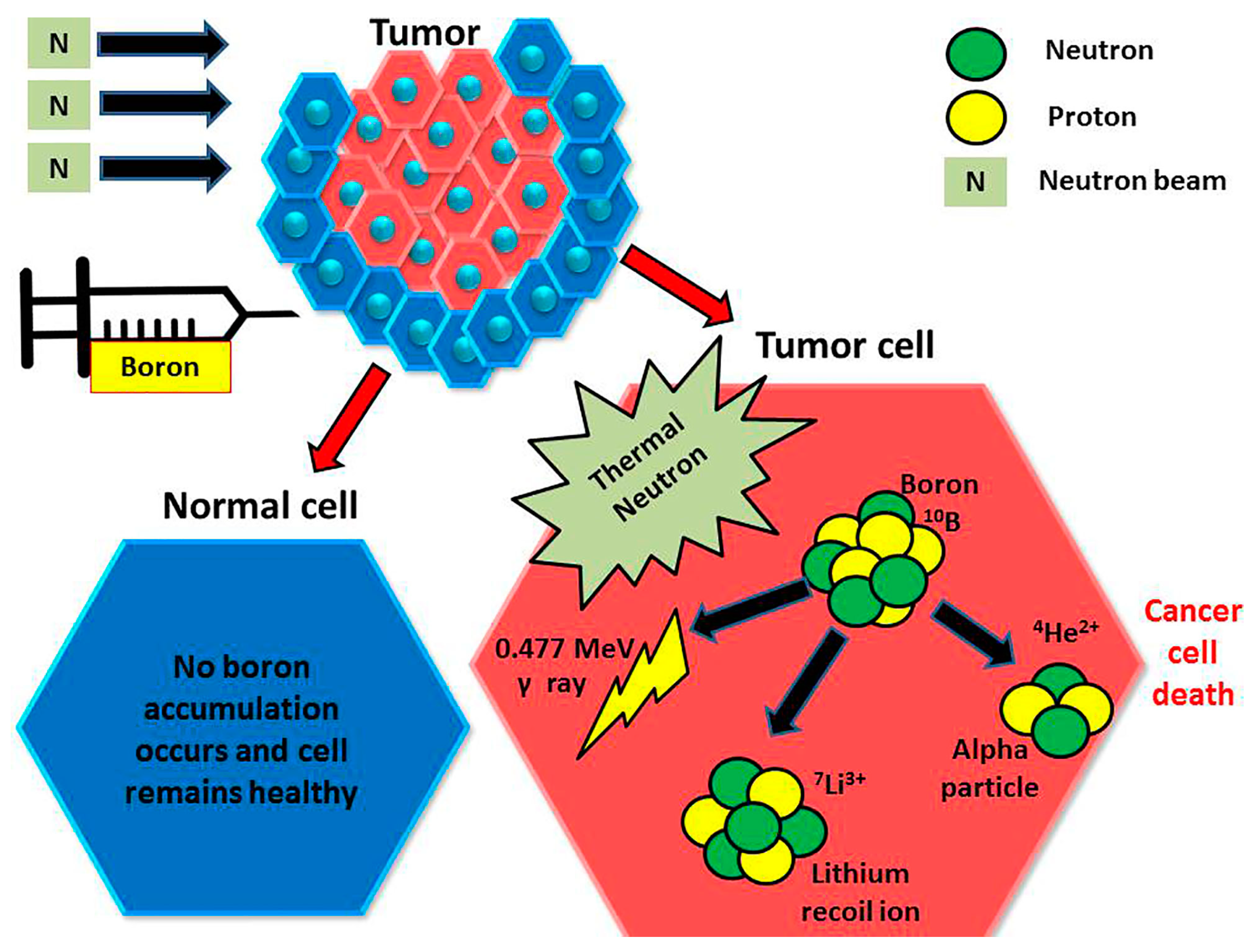 Colorants 04 00013 g015