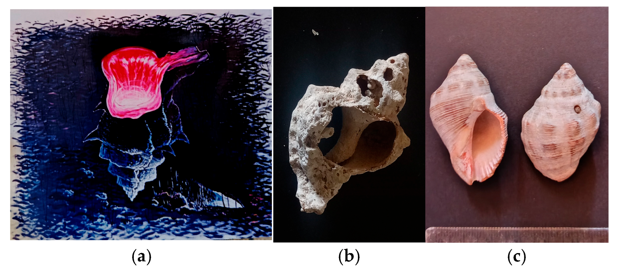 Colorants 04 00027 g001