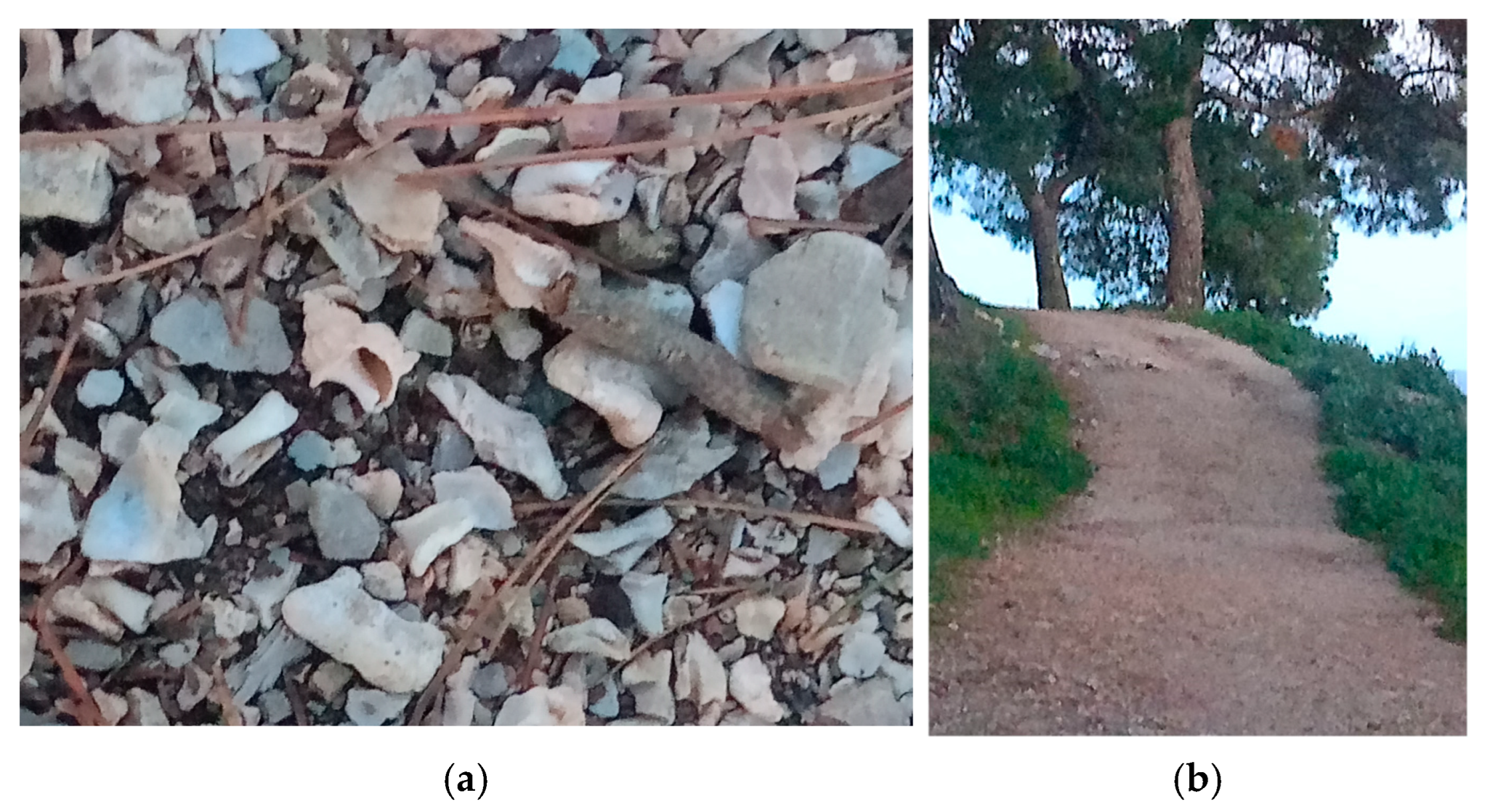 Colorants 04 00027 g003