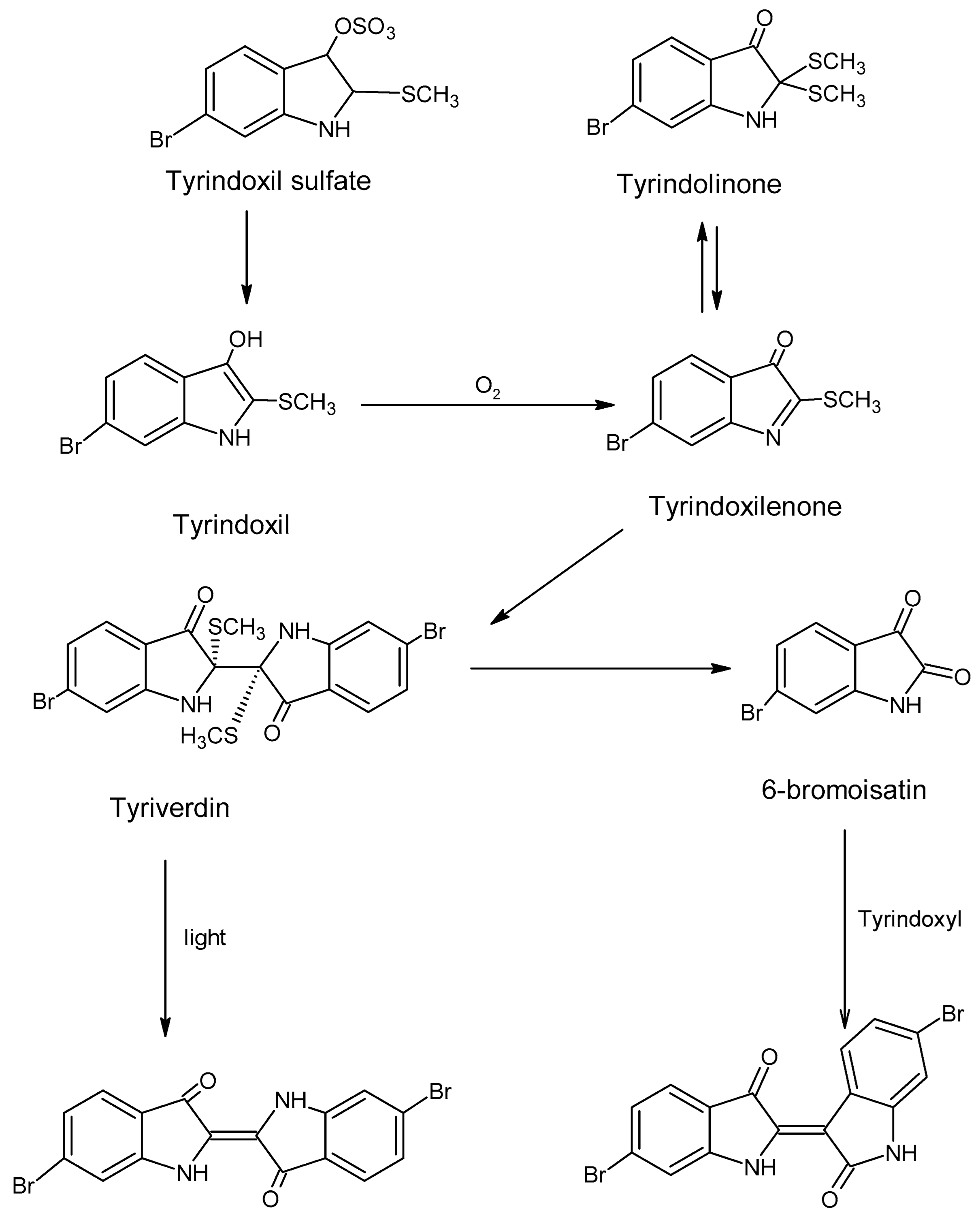 Colorants 04 00027 g007