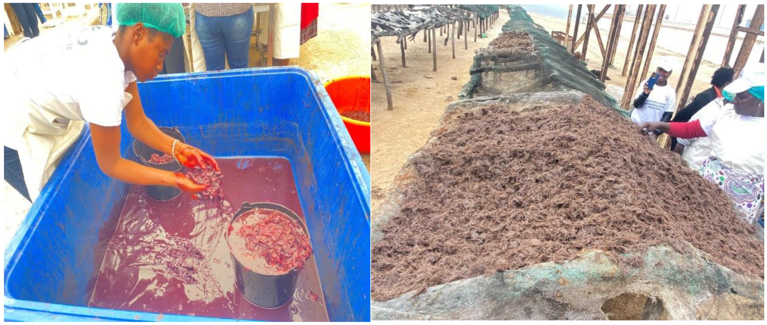 Commodities 04 00017 g002