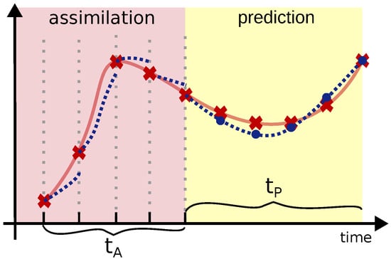 Schematic representation of the prediction process. The system is trained to predict the trajectory over a time window
t
P
based on a set of measurements. Assimilation occurs during a time window
t
A
, in which the system state is reinitialized with the available measurements (red markers in the figure). The figure also shows the network’s predictions at the measurement times (blue dots).