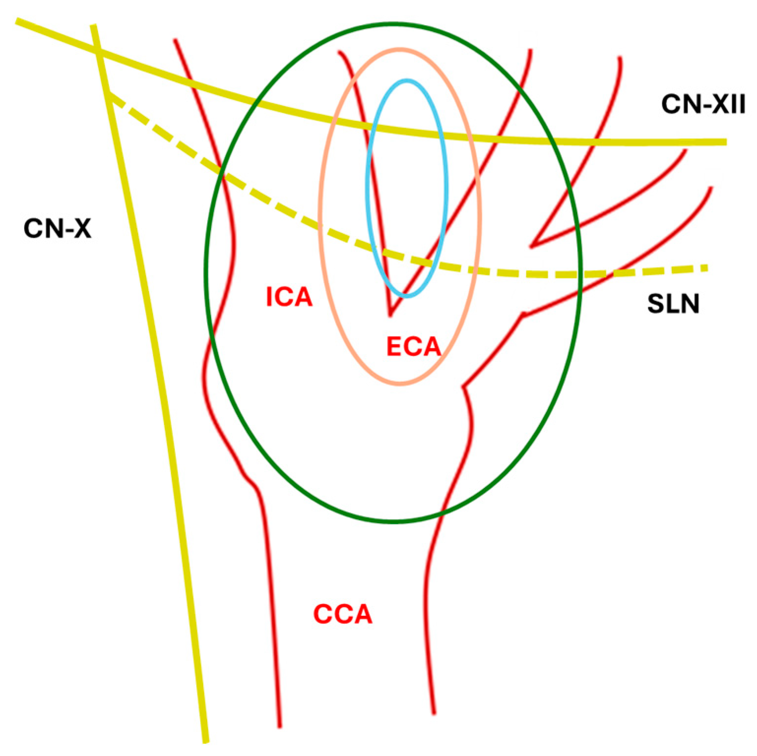 Complications 03 00003 g001 Complications 03 00003 g001