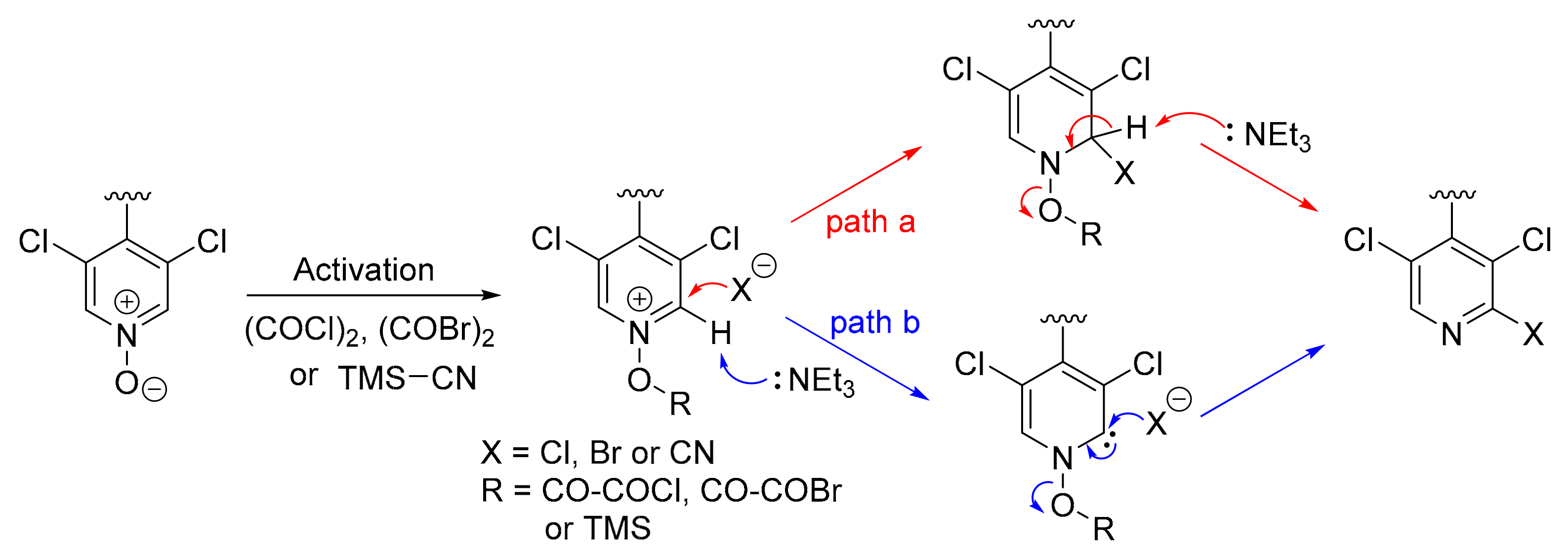 Compounds 01 00006 g006