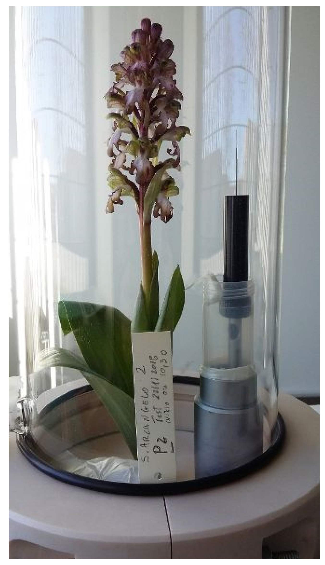 Compounds 02 00004 g002