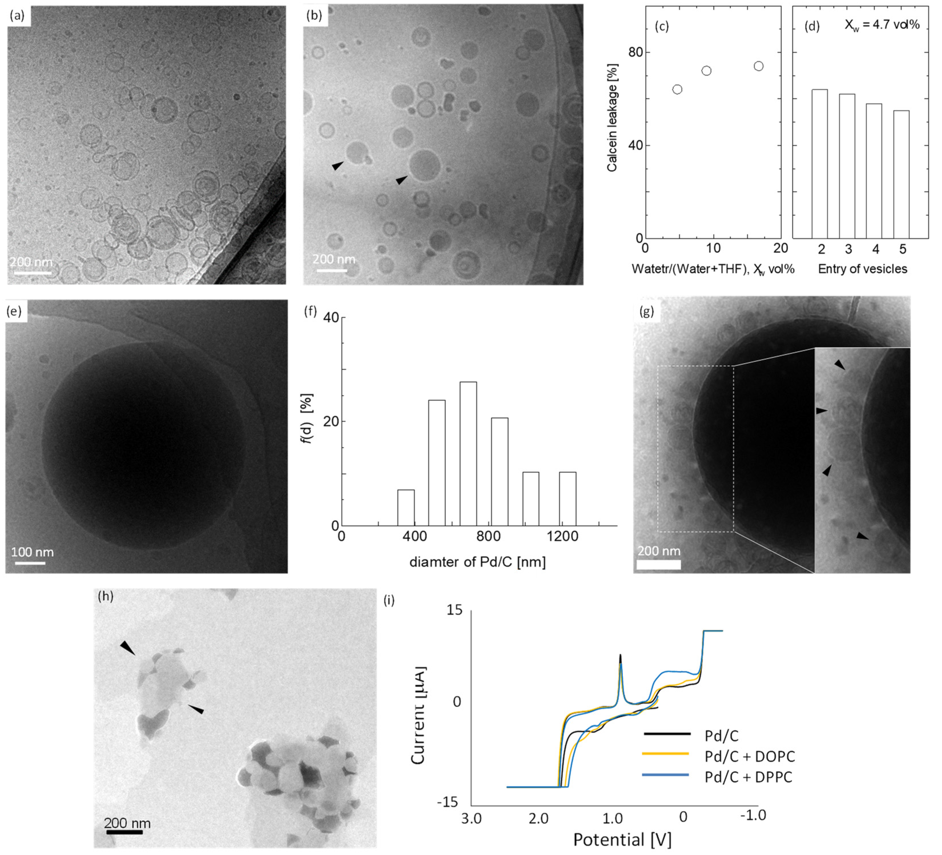 Compounds 02 00027 g002