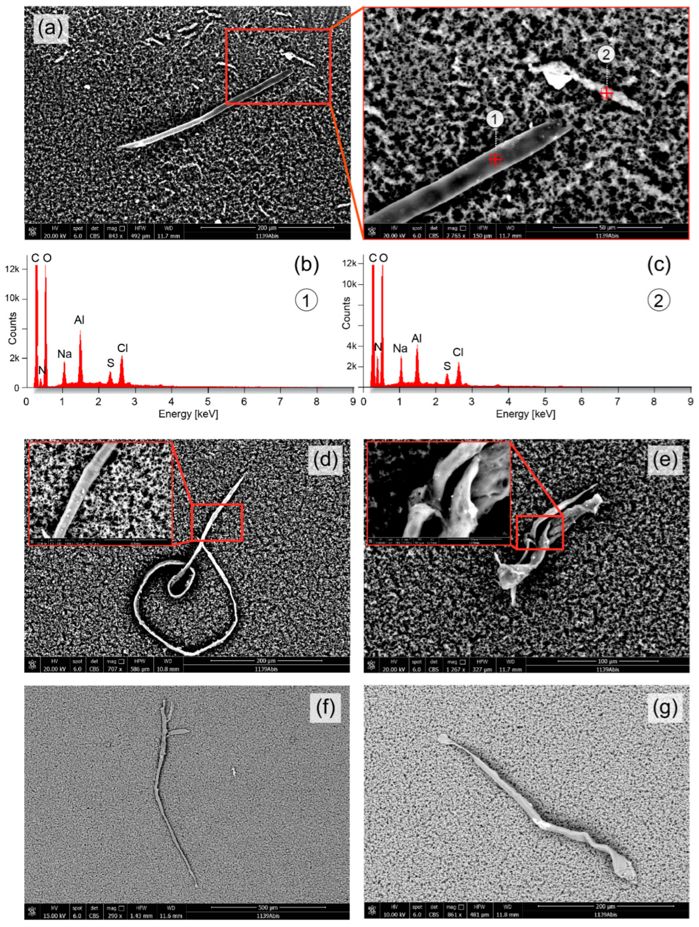 Compounds 02 00030 g004
