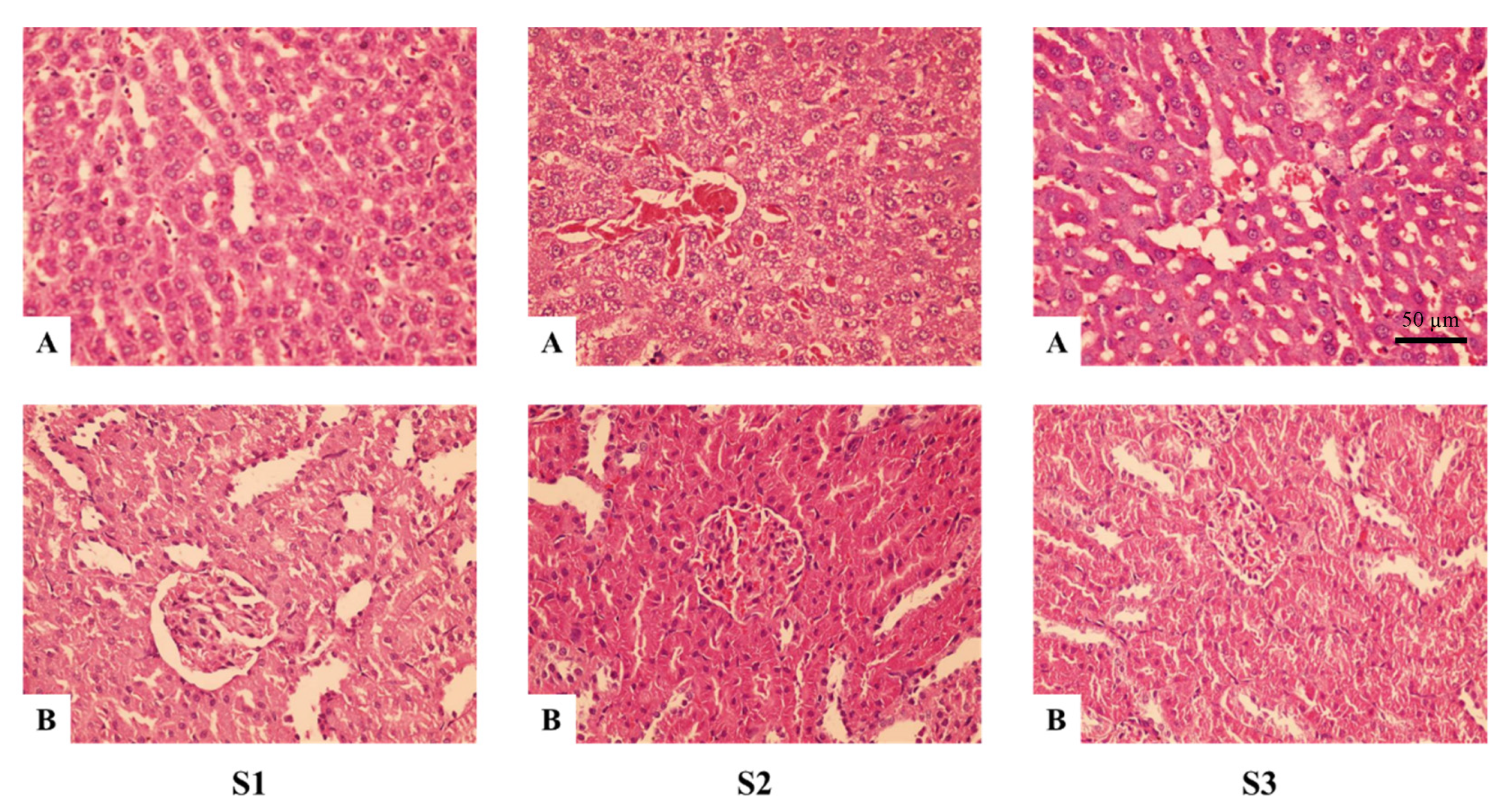 Compounds 02 00032 g001
