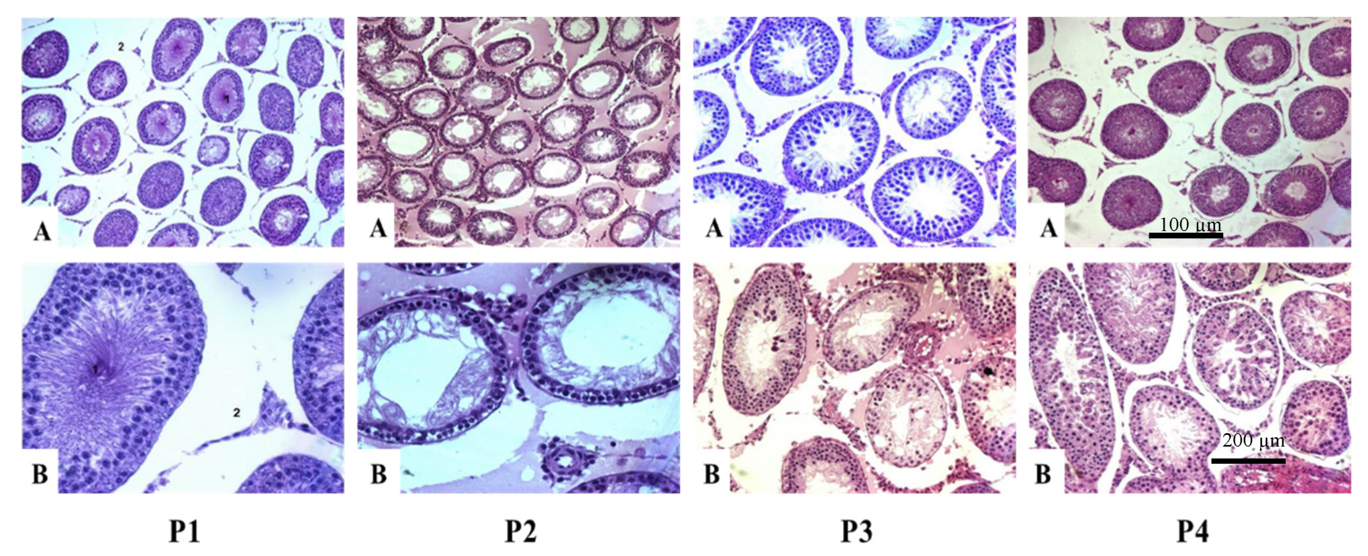 Compounds 02 00032 g002