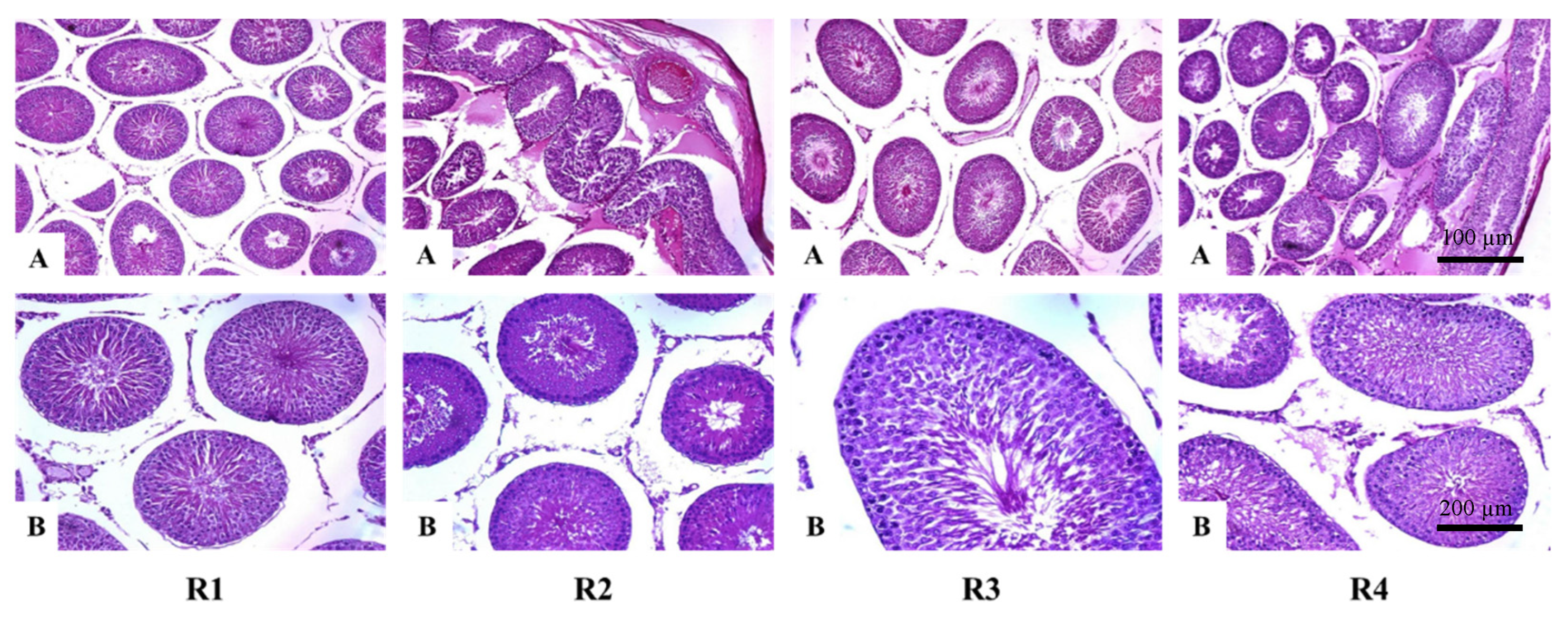 Compounds 02 00032 g004