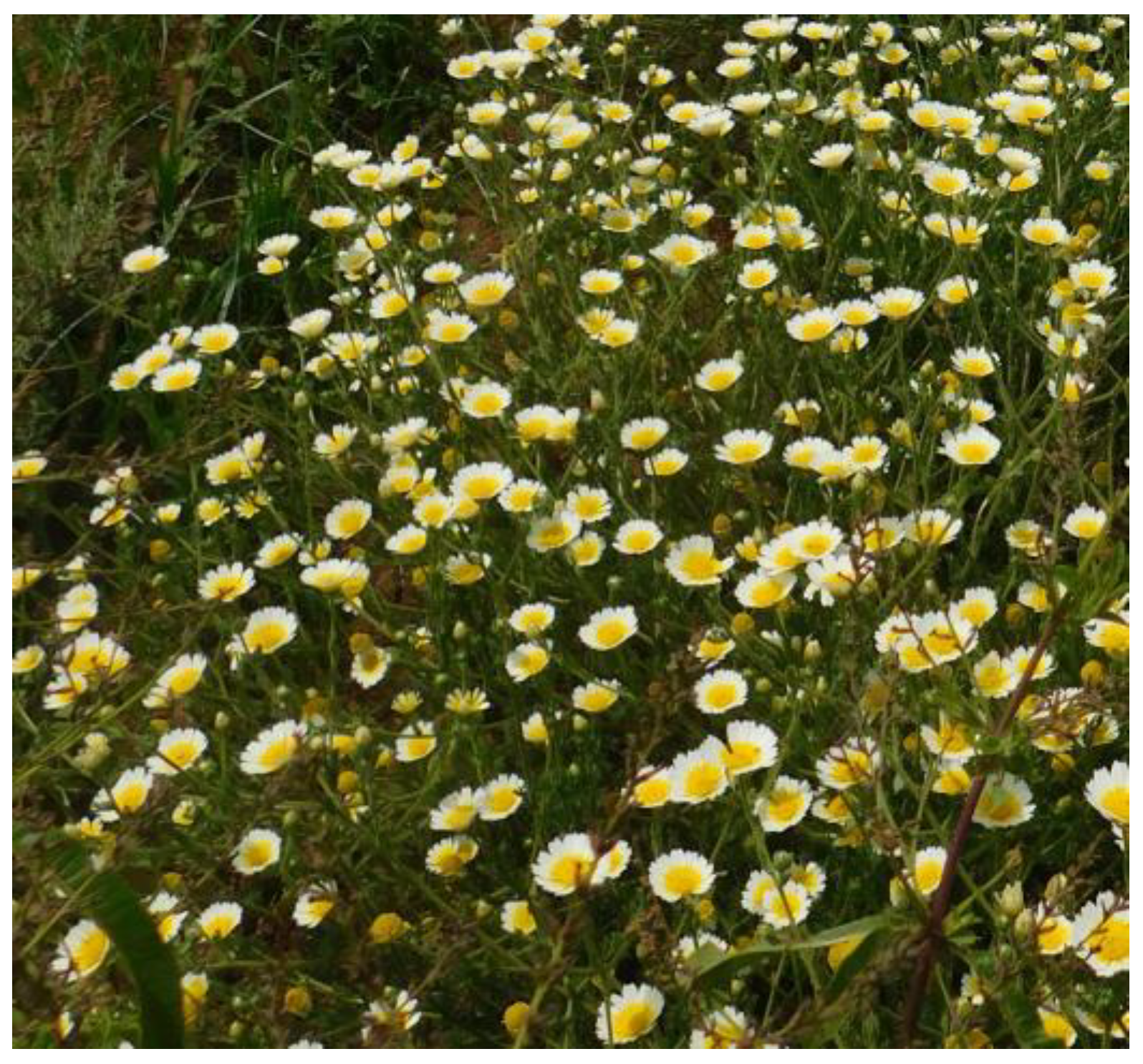 Compounds 03 00028 g001