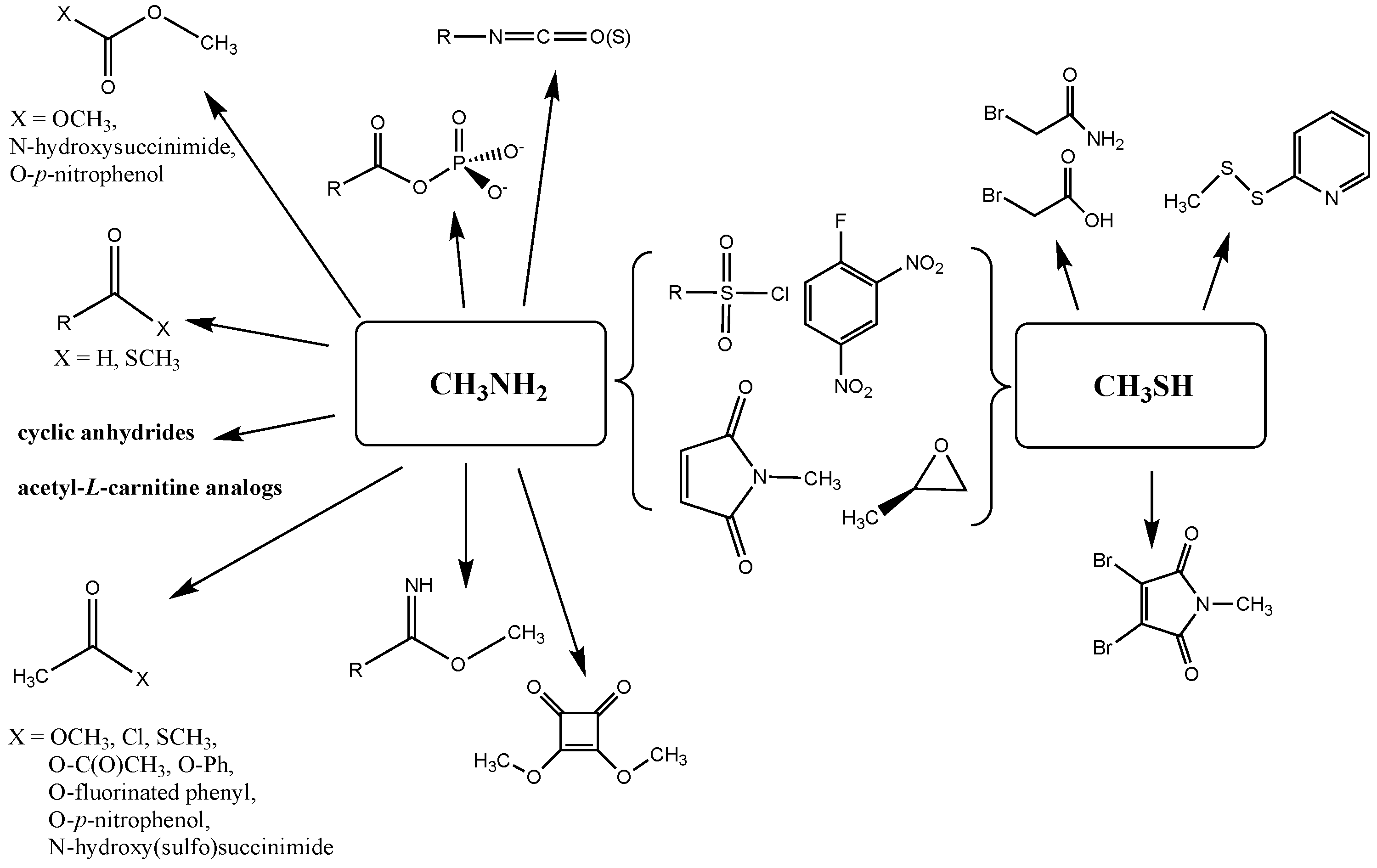 Compounds 03 00035 g001 Compounds 03 00035 g001